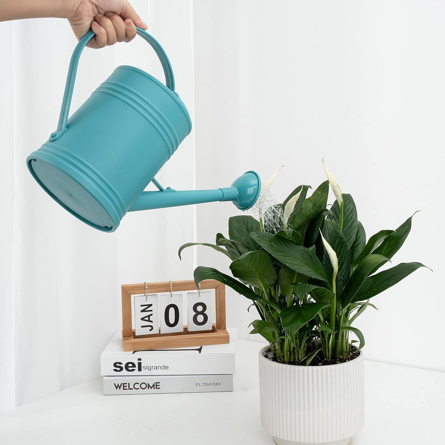 Watering Can for Indoor Plants, Flower Watering Can, Plastic Water Can for Plants, Indoor Watering Can with Sprinkler Head 68 oz, 1/2 Gallons