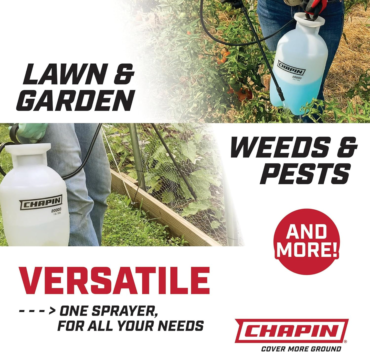 Chapin 20002 Made in USA 2 -Gallon Lawn and Garden Pump Pressured Sprayer, for Spraying Plants, Garden Watering, Lawns, Weeds and Pests, Translucent White