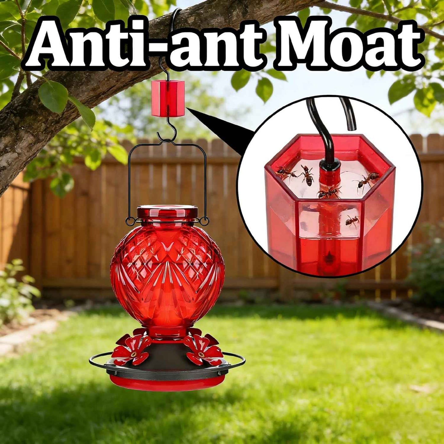 Glass Hummingbird Feeder for Outdoors Hanging, 20oz Bird Nectar Feeder with 4 Bee Guard Flower-Shaped Feeding Ports & Built-in Ant Moat, Easy to Clean, for Bird Lover,1 Pack, Red