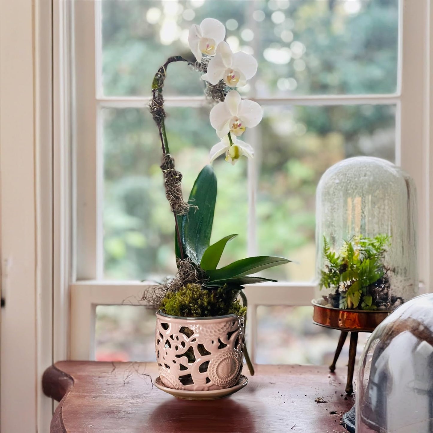 HERDUK Ceramic Orchid Pot, Orchid Pots with Drainage Holes & Saucer 6.5 Inch,Orchid Pot for Repotting Indoor, Orchid Containers with Precise Aeration & Drainage