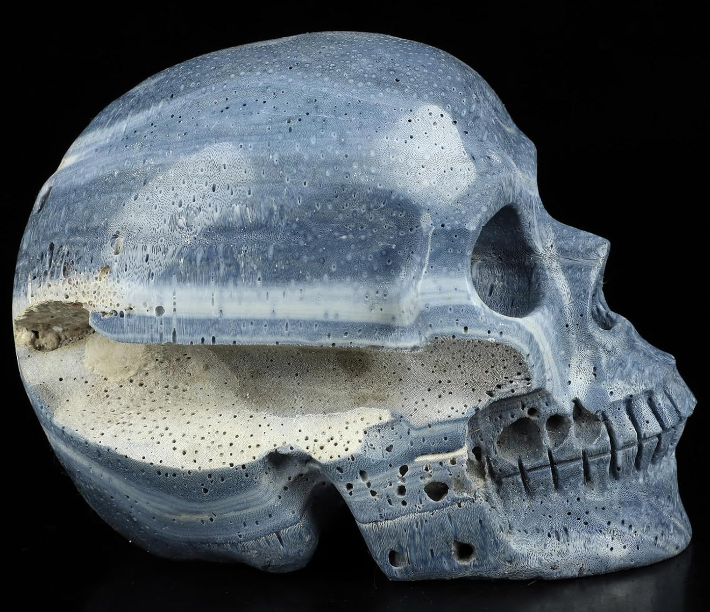 Skullis 5.0" Blue Sponge Coral Realistic Crystal Skull, Hand Carved Gemstone Fine Art Sculpture, Reiki Healing Stone Statue.2898