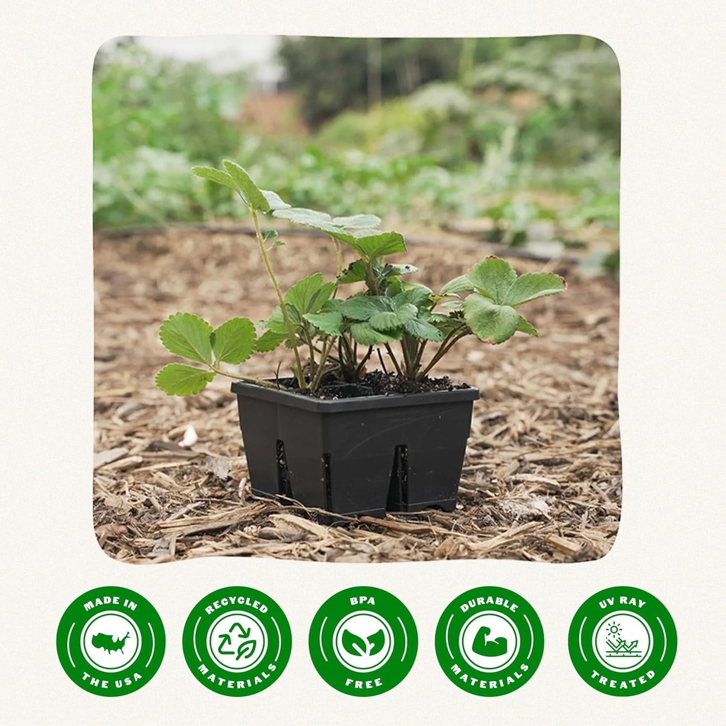 Epic Gardening Reusable Seed Starter Tray - 4 Cell 3"/16 Seedling Starter Trays - Easy Watering, Indoor Greenhouse, Plant Starter, Gardener-Friendly for Seedlings | UV-Treated & BPA-Free - Black