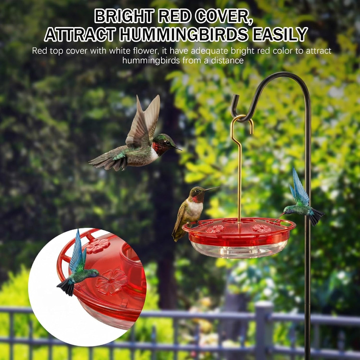 eWonLife Clear Ruby Hummingbird Feeders for Outdoors, 2 Pack 16OZ Leak Proof Saucer Humming Bird Feeder with Integrated Ant Moat, Bee Proof 5 Feeding Ports, Brush, Hanging Garden Decor for Mom