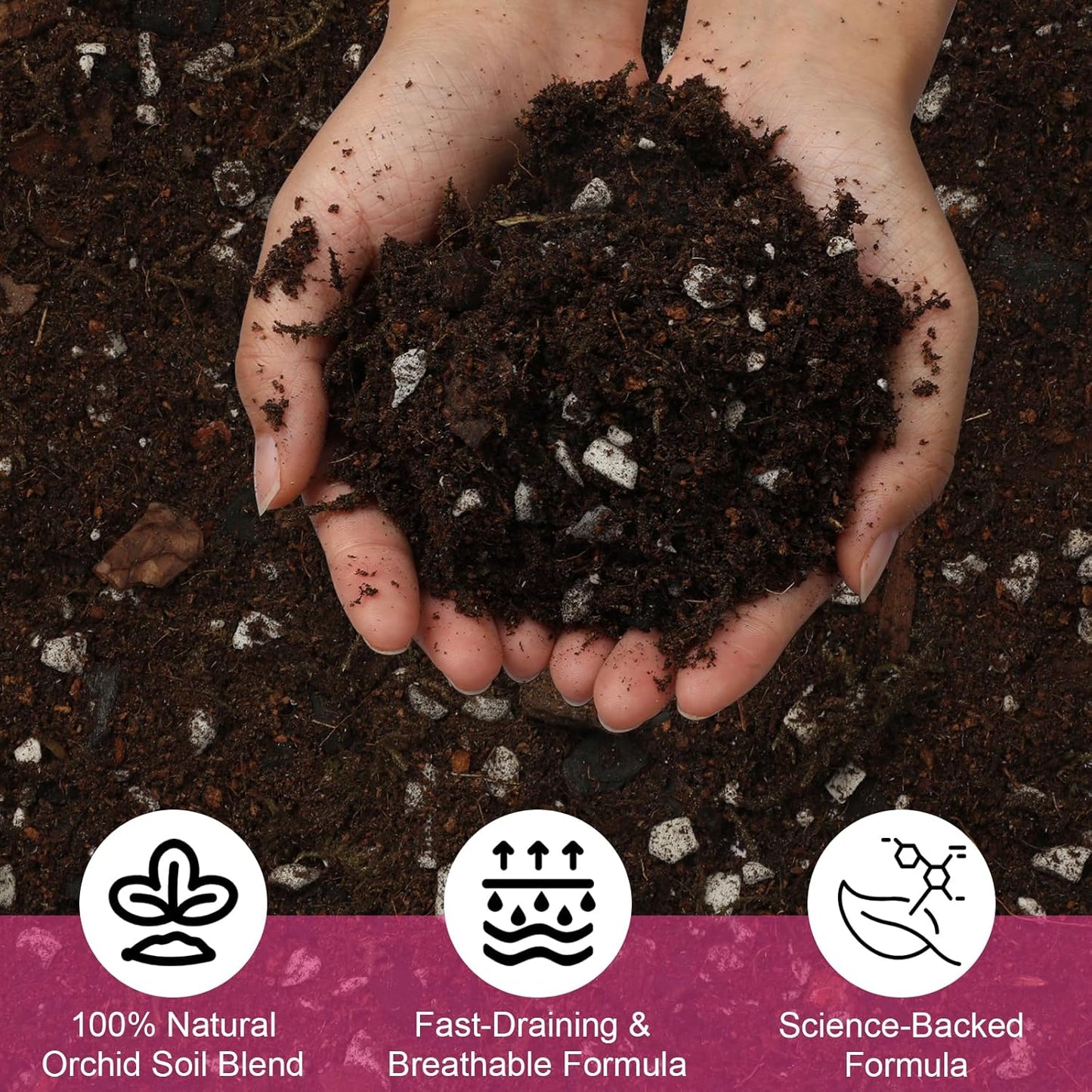 Doter Organic Orchid Potting Mix & Bark Blend 1qt - All Natural, Fast Draining Soil for Phalaenopsis, Dendrobium, Oncidium Plants
