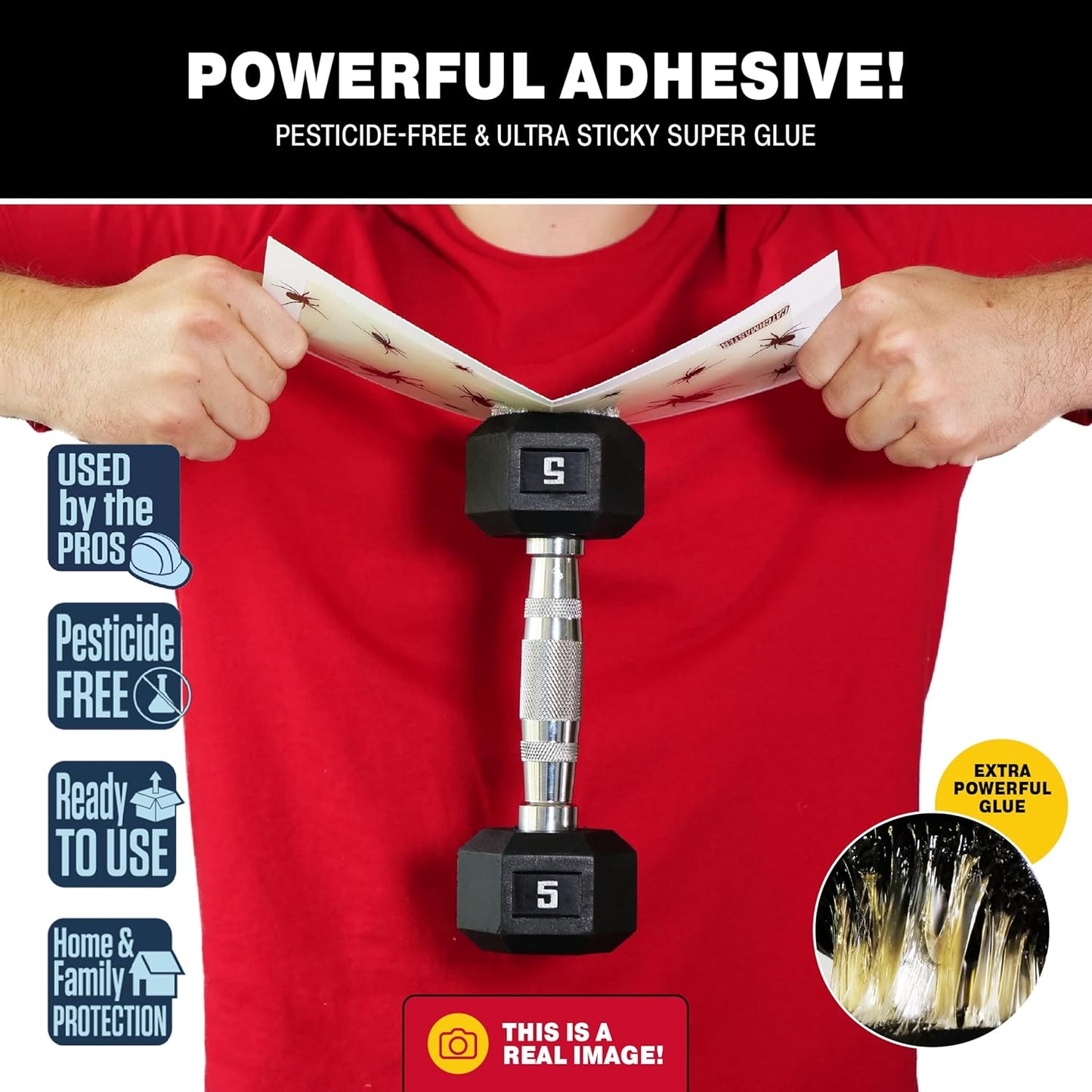 Catchmaster Brown Recluse Spider Giant Glue Boards 6Pk, Adhesive Bug Catcher, Insect, Scorpion, Cricket, Cockroach & Spider Killer for Home, Bulk Glue Boards for House & Garage, Pest Control for Home