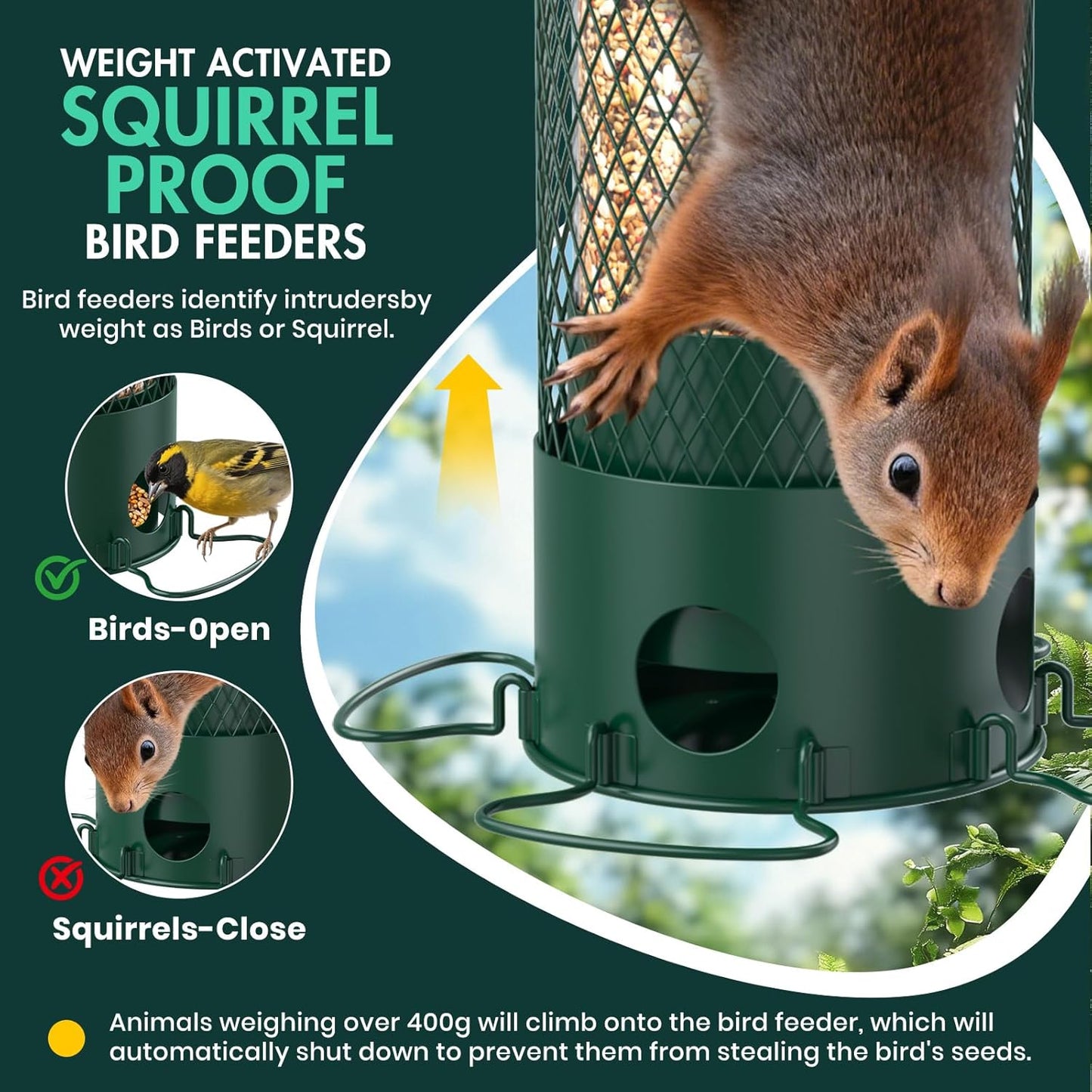 Metal Squirrel Proof Bird Feeders for Outdoors Hanging,Weight-Activated Large Capacity Feeder for Wild Finch, Cardinal,Blue Jay, Chickadee, Weatherproof and Durable 4 Perches,Green