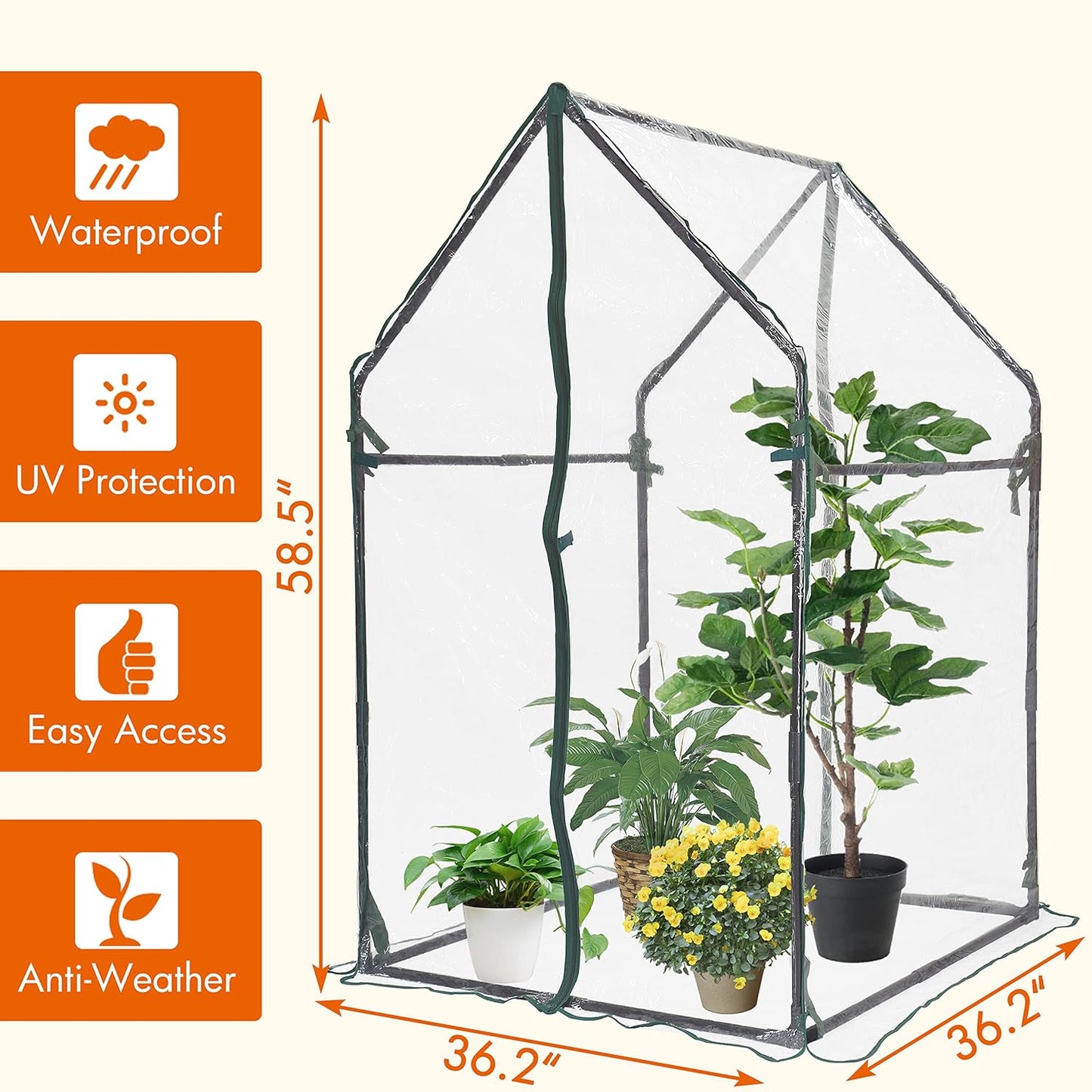 Gardzen Mini Greenhouse Heavy Duty Portable Green House, Clear Tent Small Greenhouse for Indoor Outdoor Plants 36.2”(L) x36.2”(W) x59.5”(H)
