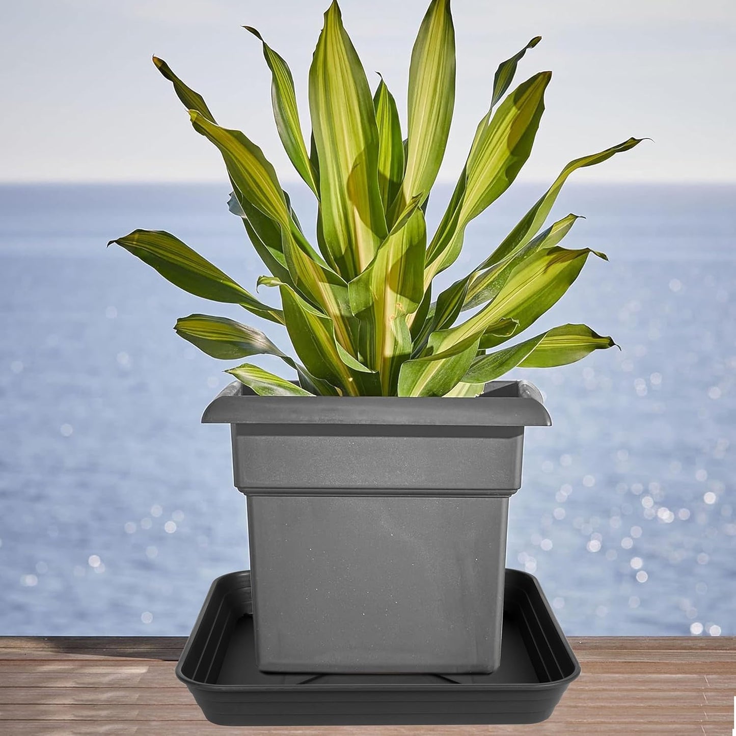 2 Pack Square Plant Saucer Tray 10 inch, 6 8 10 12 14 16 18 20 inch Heavy Duty Plastic Square Plant Saucers for Indoors Outdoor, Flower Planter Drip Trays for Pots, Seed Starting Tray