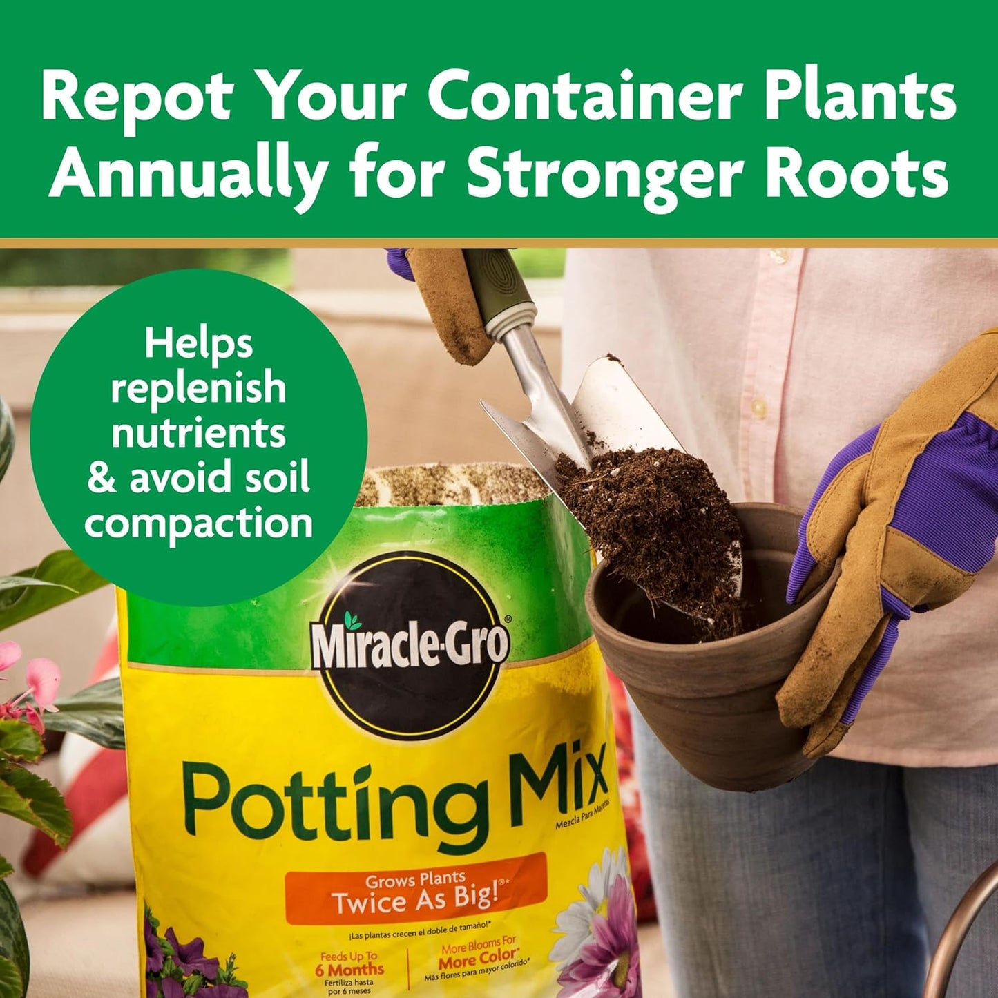 Miracle-Gro Potting Mix - For Container Plants, Flowers, Vegetables, Shrubs, Annuals, Perennials, Potting Soil Mix, Feeds up to 6 Months, 16 qt. (2-Pack)