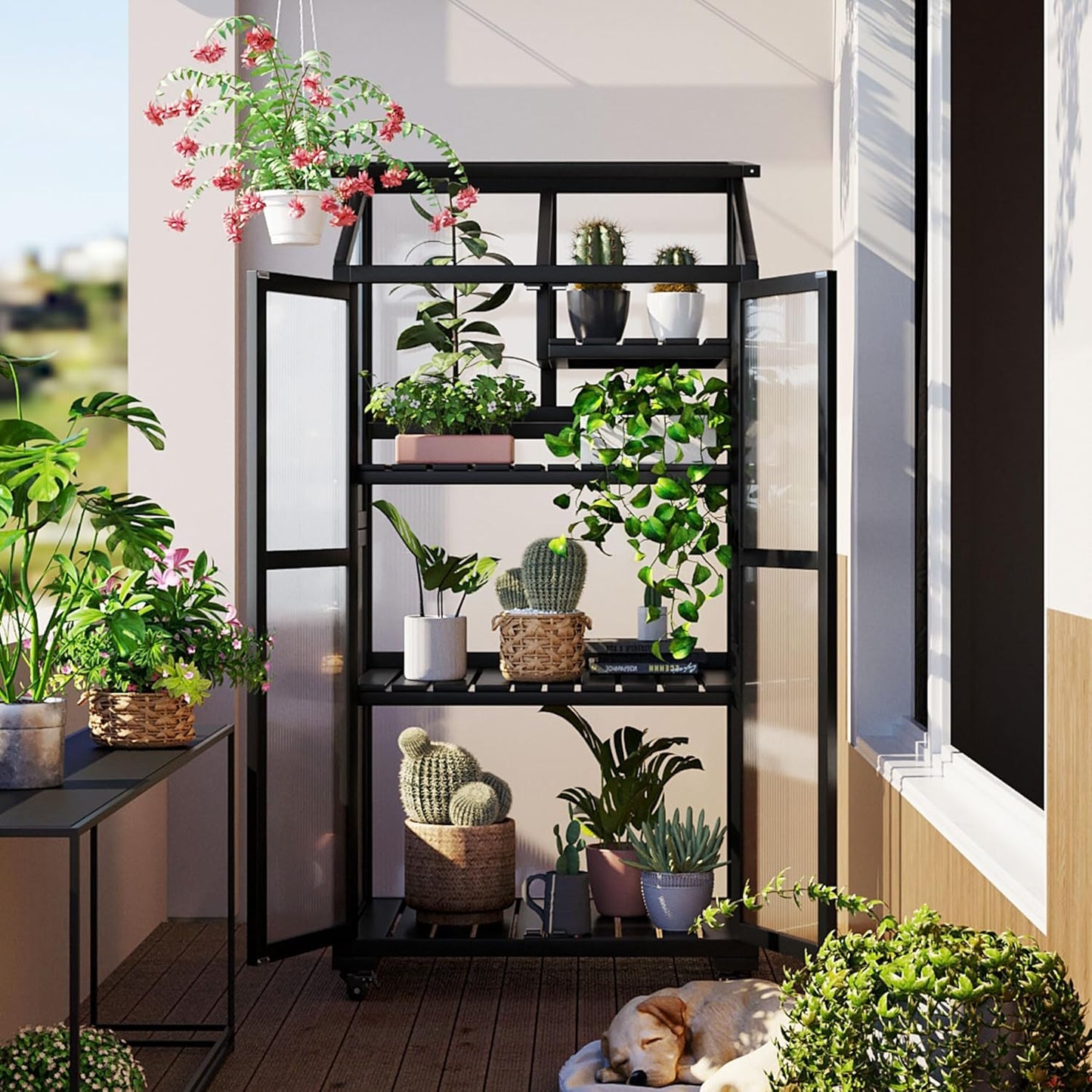 UMISOL 62" H Wooden Greenhouse, Balcony Portable Cold Frame with Wheels and Adjustable Shelves, Large Greenhouse for Outdoor Indoor Use, Black