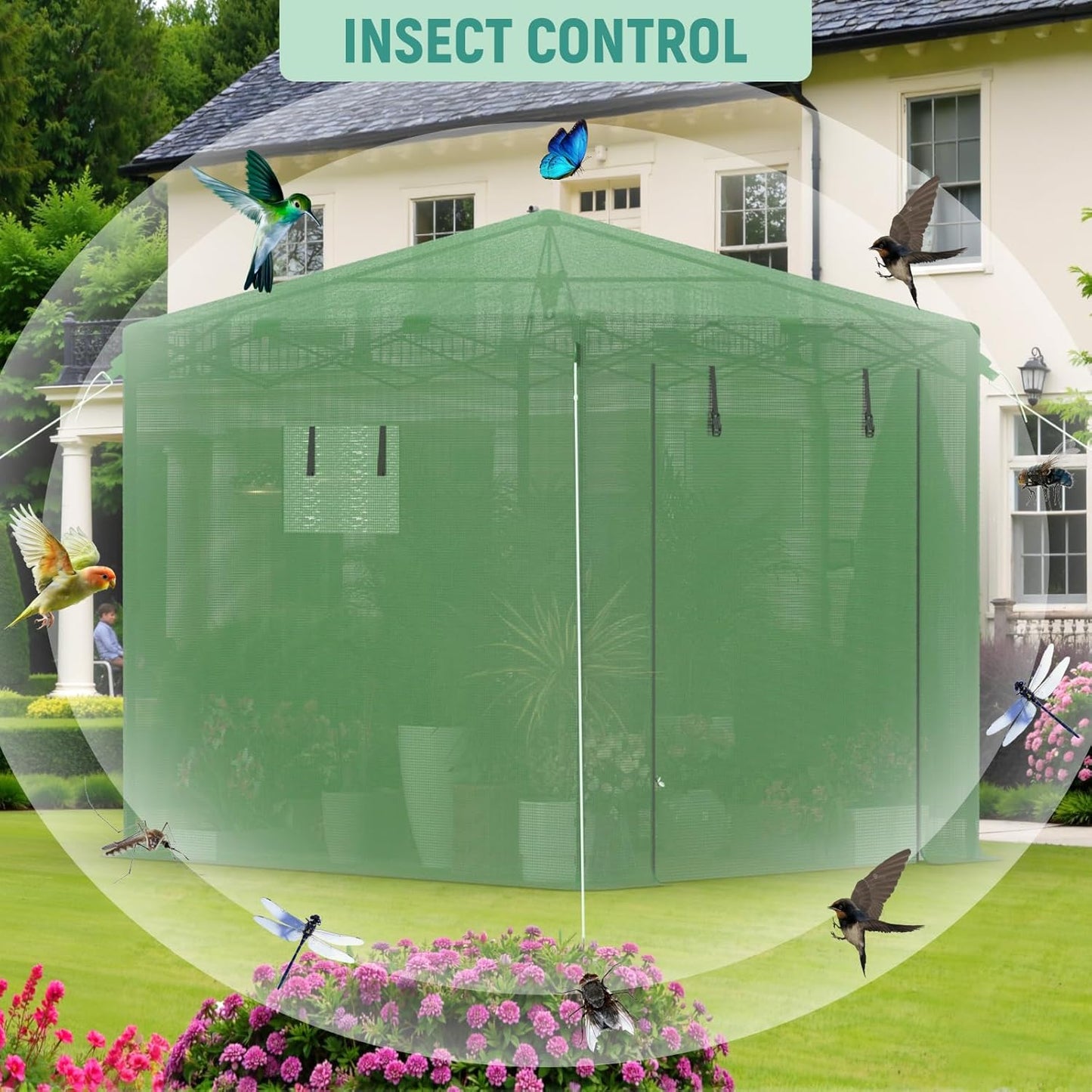 Pop Up Greenhouse, 8x6 FT Pop Up Green House for Outdoors, Portable Greenhouses, Walk-in Greenhouses, Popup Greenhouse Kit, Easy Set Up