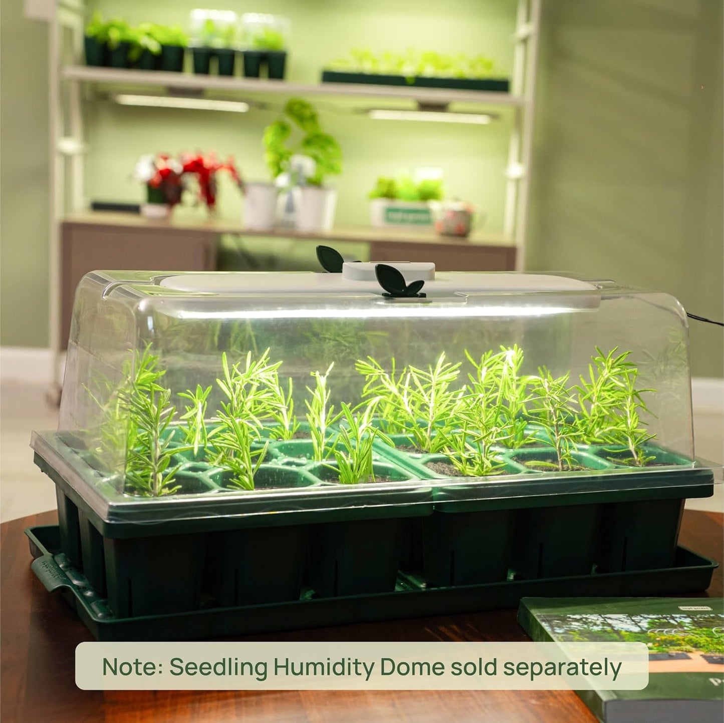 Vego garden Giga Seedling Trays - 16 Pack, 9-Cell UV-Resistant Reusable Starter Trays for Greenhouse/Garden (No Lids)