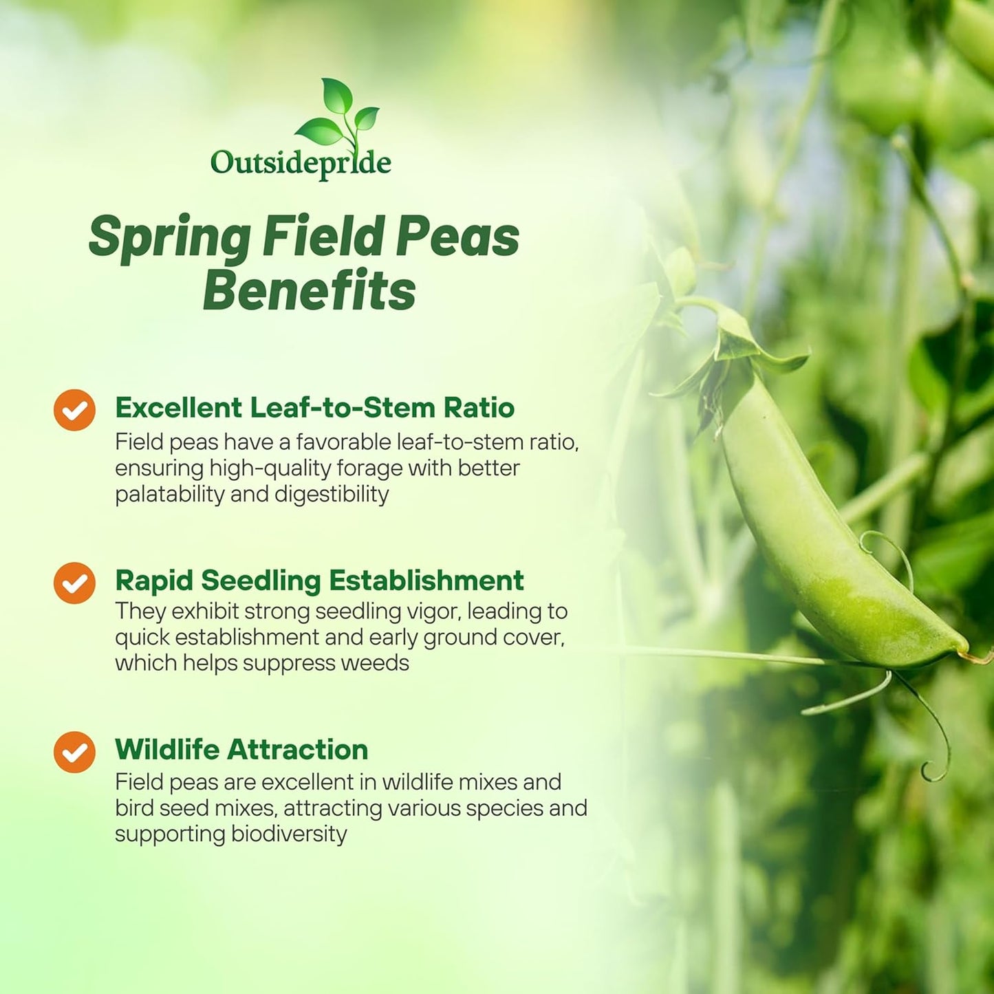 Outsidepride Dundale Spring Field Peas Seeds - 20 lbs. Annual, High-Protein Legume & Cover Crop Seeds for Forage, Food Plot, Gardens & Pastures - Ideal for Improving Soil Health, & Erosion Control