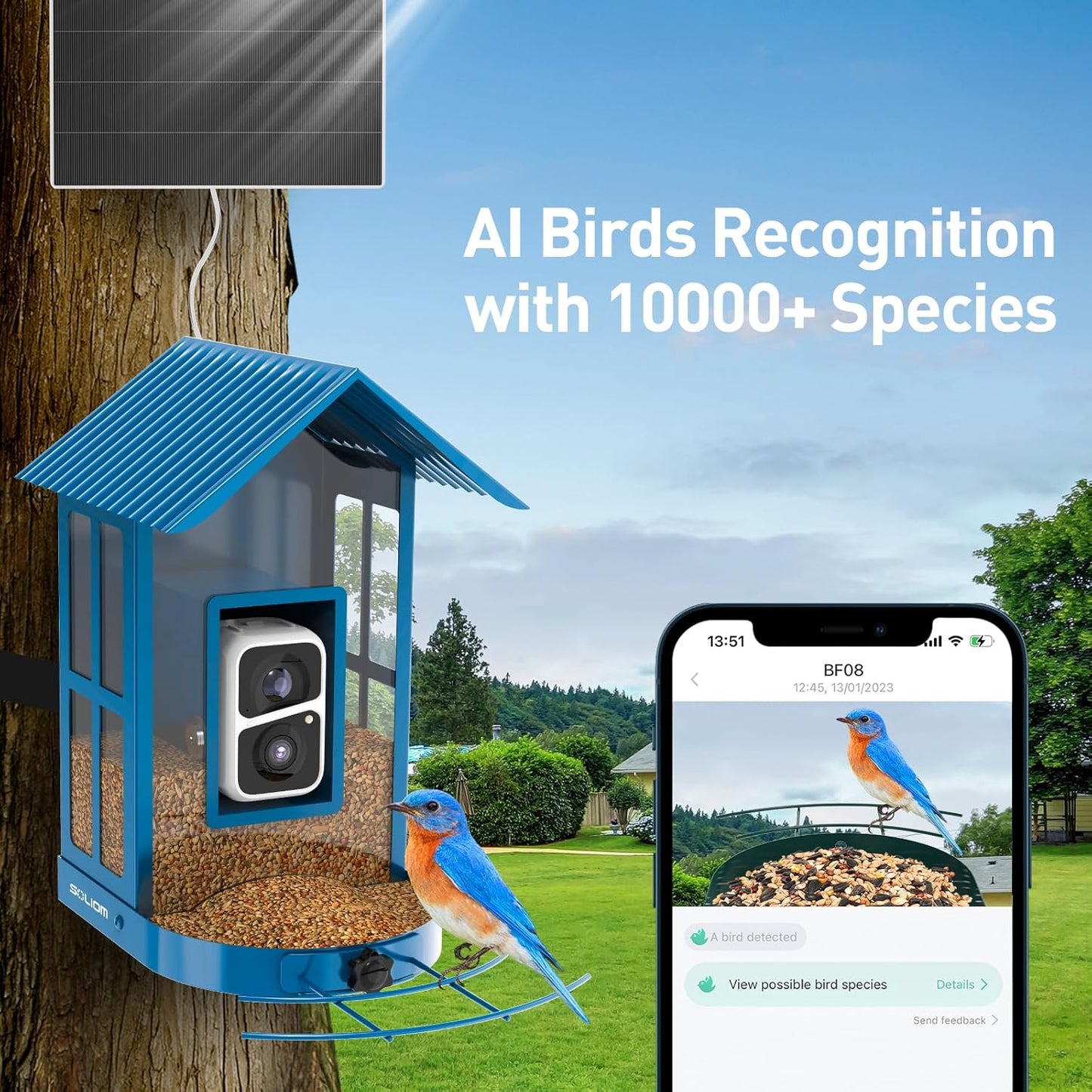 Bird Feeder with Camera with AI Identify Species, Wild Bird Watching, 2K Live View, Instant Arrival Alerts with 5W Solar Powered-Soliom BF08 Metal Blue