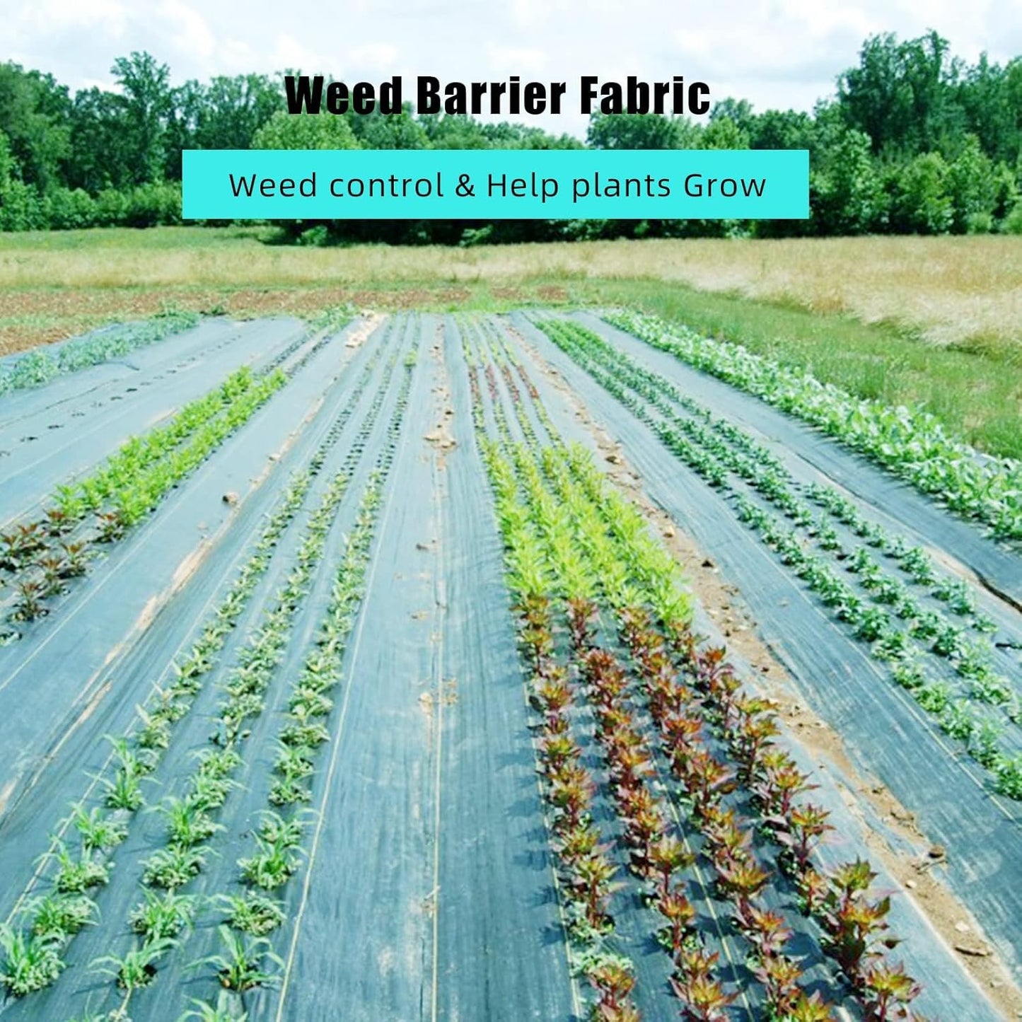6 Ft x 300 Ft Heavy Duty Weed Barrier Landscape Fabric, 3.2Oz Professional Grade Weed Barrier Fabric for Gardening, Erosion Control & Construction, Durable Polypropylene Ground Cover