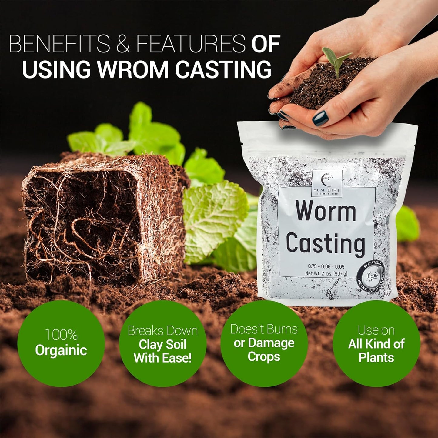 Elm Dirt 100% Organic Worm Castings & Bloom Juice for All Flowering Plants - Bloom Booster Fertilizer Earthworm Casting | Organic Plant Food for Houseplants, Vegetables, Flowers & Gardens Fertilizer