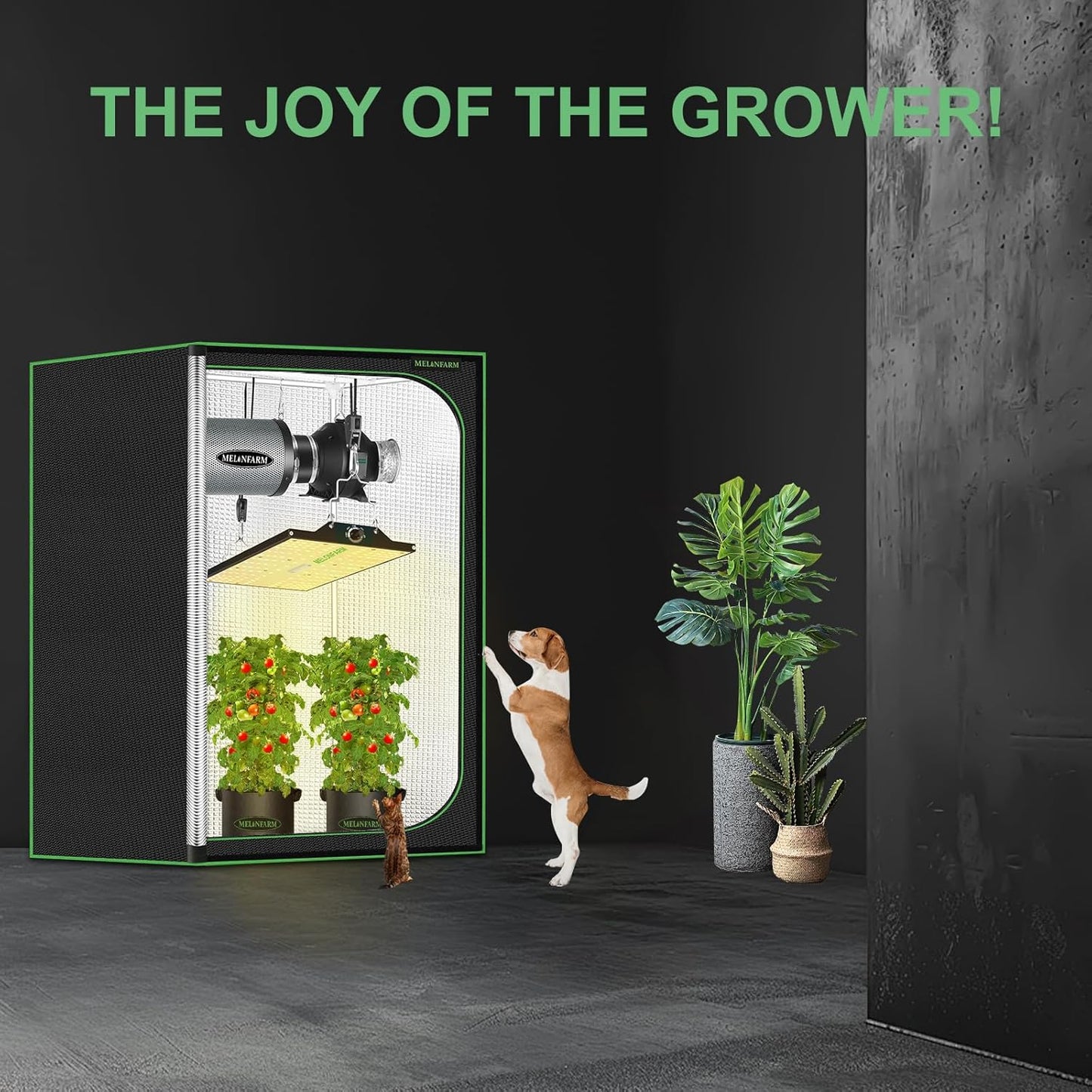 2x2 Grow Tent, 24"x24"x48" Double Transparent Viewing Door Indoor Grow Tent, Growing Tent with High Reflective Mylar & Floor Tray, Plant Tent for Indoor Hydroponics Growing