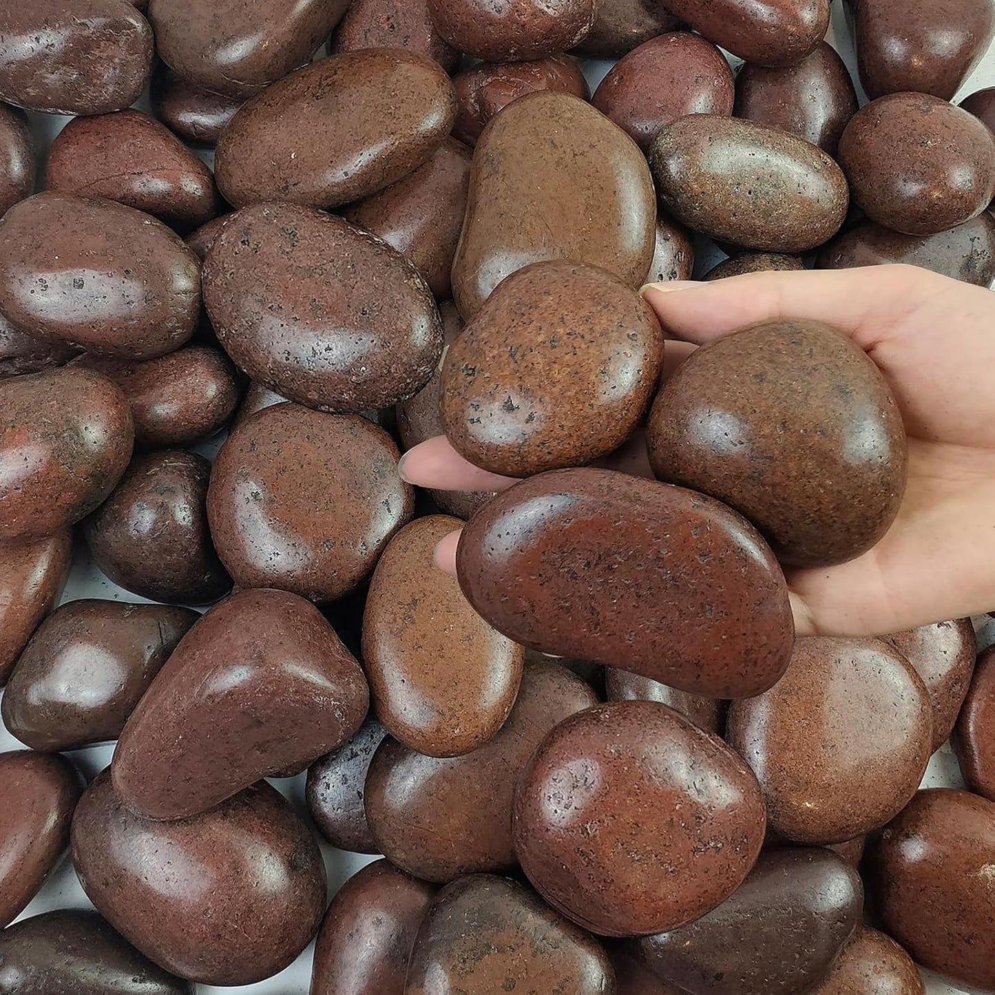 5 lbs Red River Rocks, 2-3 Inch Large Pebbles for Indoor Plants, Decorative Rocks Stones for Landscaping, Vases, Aquariums, Fountains, Pathways, Backyard and Garden