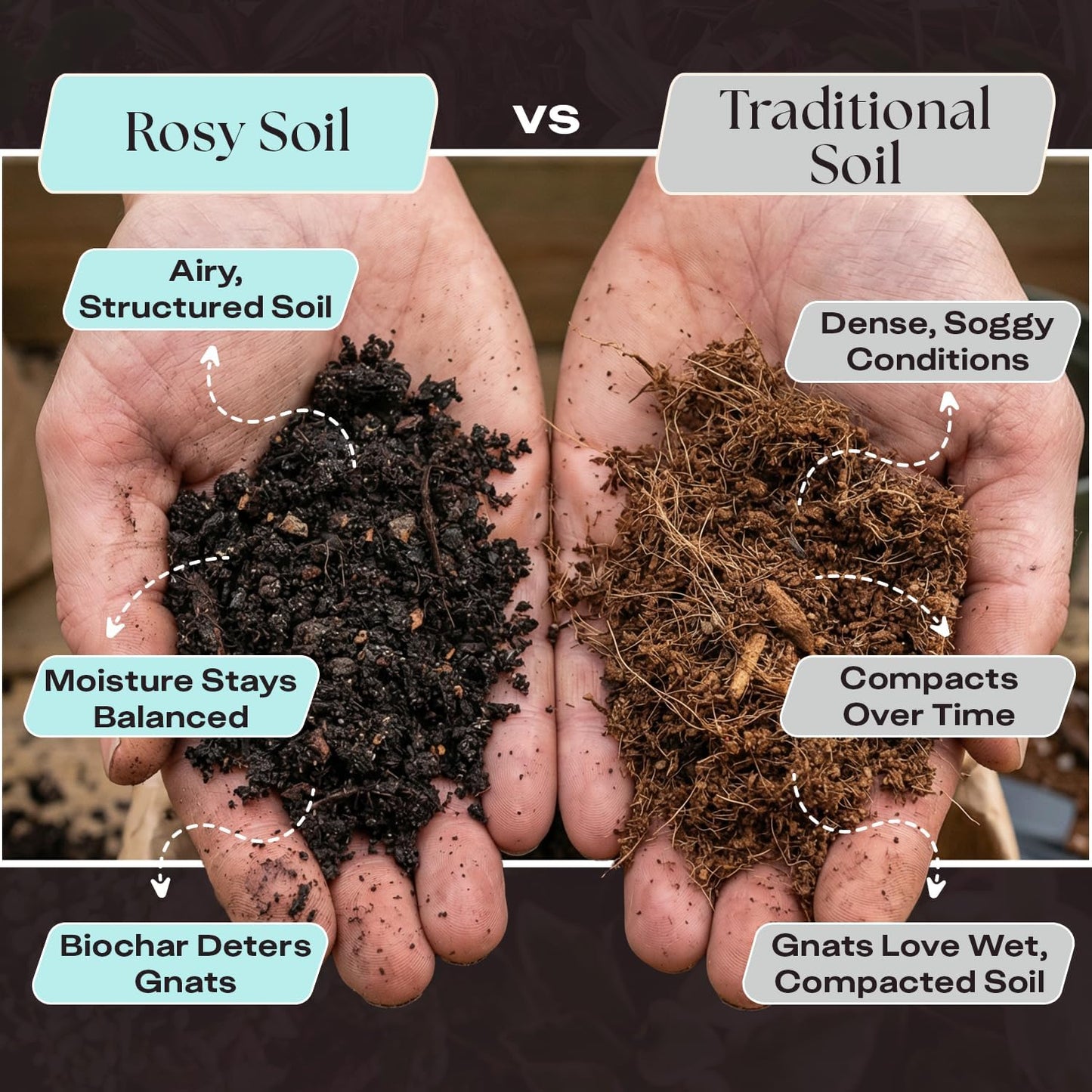 Rosy Soil Herb Mix - Organic Potting Mix for Herbs - Enriched with Biochar, Worm Castings for Root Development, Nutrient Uptake, and Strong Flavor - Fast Draining, Peat Free, Less Prone to Gnats - 4qt