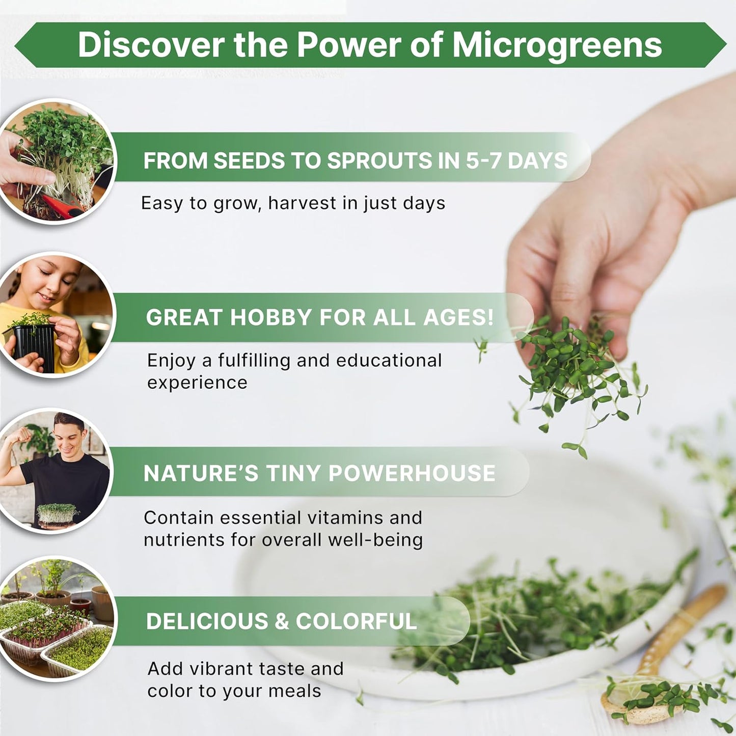 Organo Republic Broccoli Sprouting & Microgreens Seeds - 32,500 Non-GMO Heirloom Seeds, Sprouts in Bulk 4oz Resealable Bag for Planting & Growing in Soil, Coconut Coir, Aeroponic & Hydroponic System