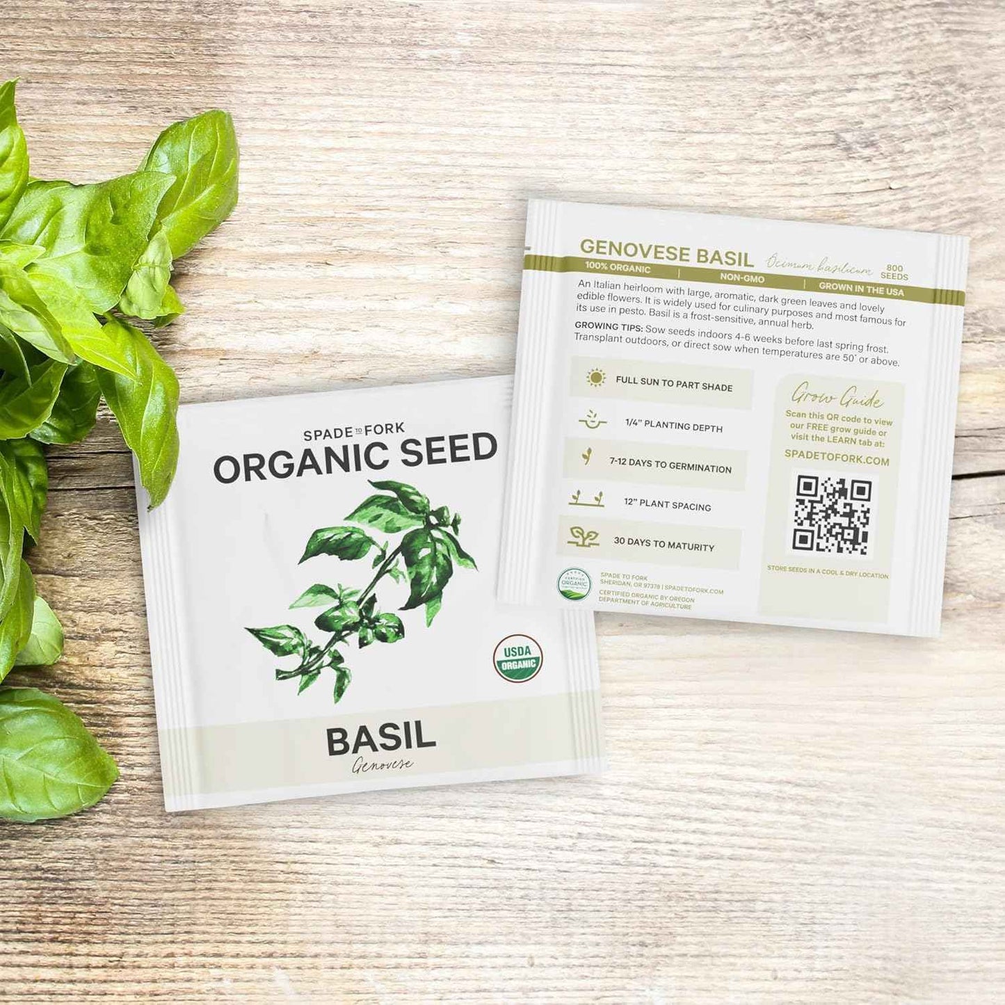 5 Certified Organic Herb Seeds Variety Pack (4X More) 2,800+ Non GMO Seeds for Planting Indoor Herb Garden or Outdoor Herb Garden Seeds for Planting | Including Basil, Cilantro & More