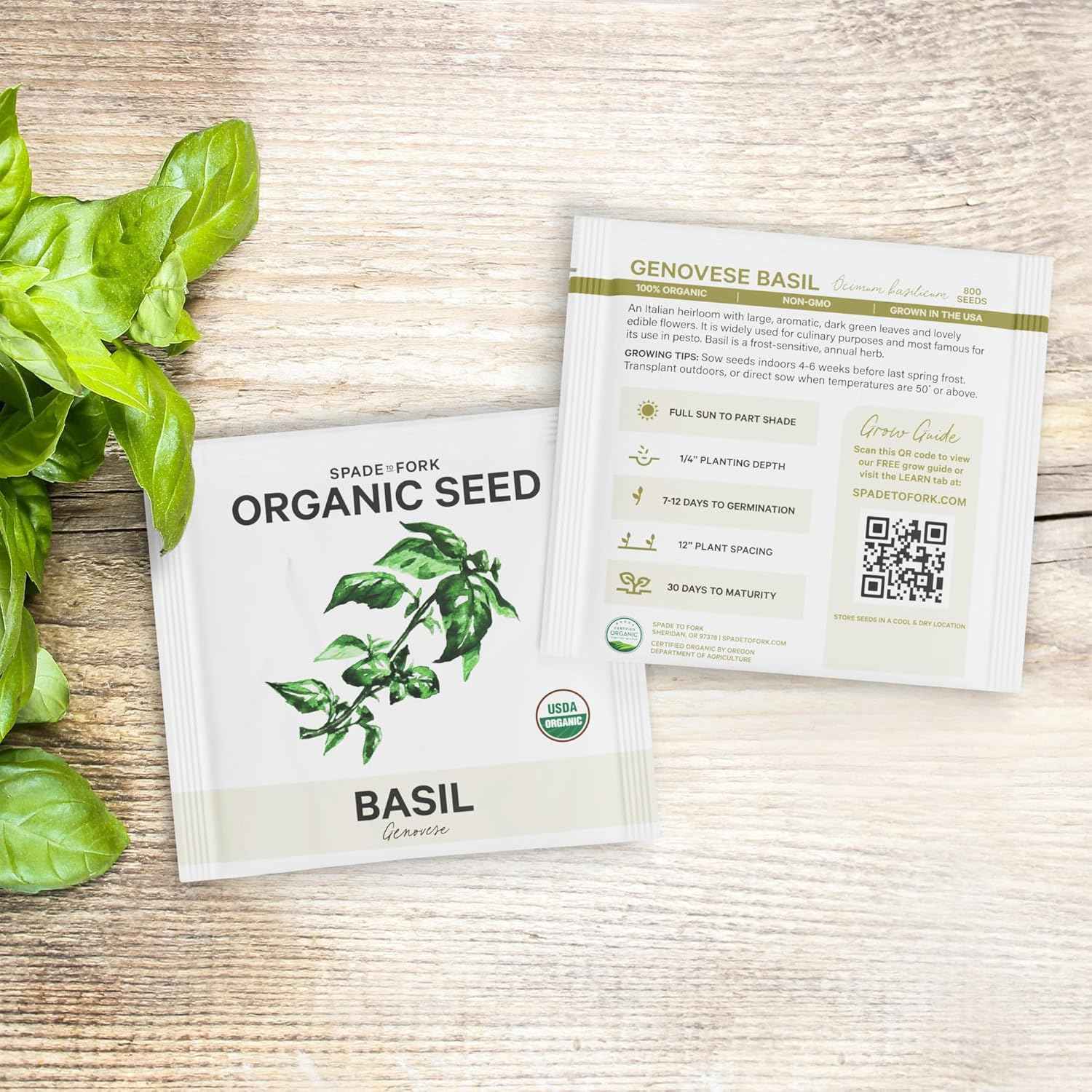5 Certified Organic Herb Seeds Variety Pack (4X More) 2,800+ Non GMO Seeds for Planting Indoor Herb Garden or Outdoor Herb Garden Seeds for Planting | Including Basil, Cilantro & More