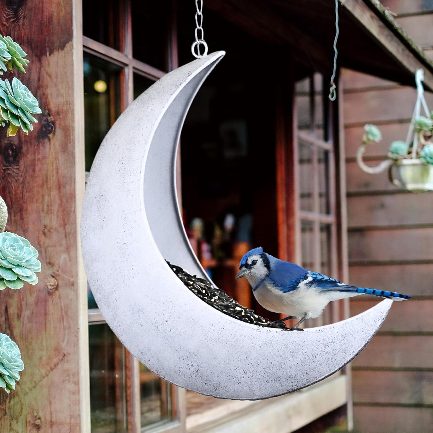 Hanging Moon Bird Feeder – Unique Metal Bird Feeders for Outdoors, Rustic White, Rust-Resistant, Drain Holes – Wild Bird Feeder for Bluebirds, Cardinals, Finches, and Backyard Birdwatching