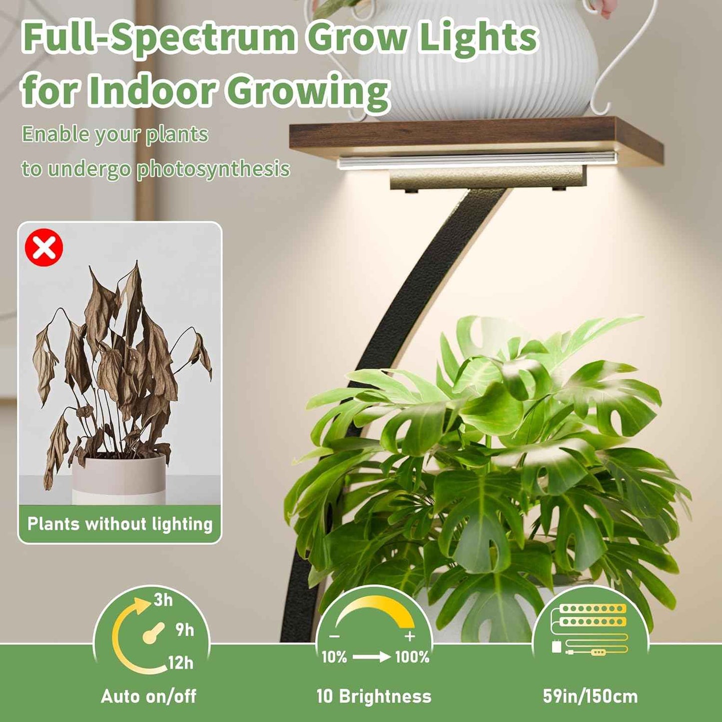 Plant Stand Indoor with Grow Light: 55" Tall Corner Shelf for Multiple Plants, Lighted Plant Stands for Indoor Growing, 6 Tiered S-Shaped Flower Display Stand for Living Room, Patio, Balcony (Black)