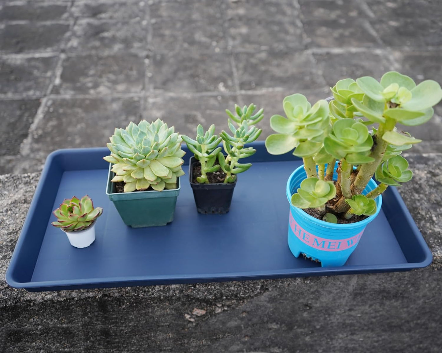 Rectangle Plant Tray, Plant Drip Tray, Plant Pot Saucers, Plant Germination Trays, Plant Saucers, 14.5'' x 11'' x 1.5'' (4 pack), Blue