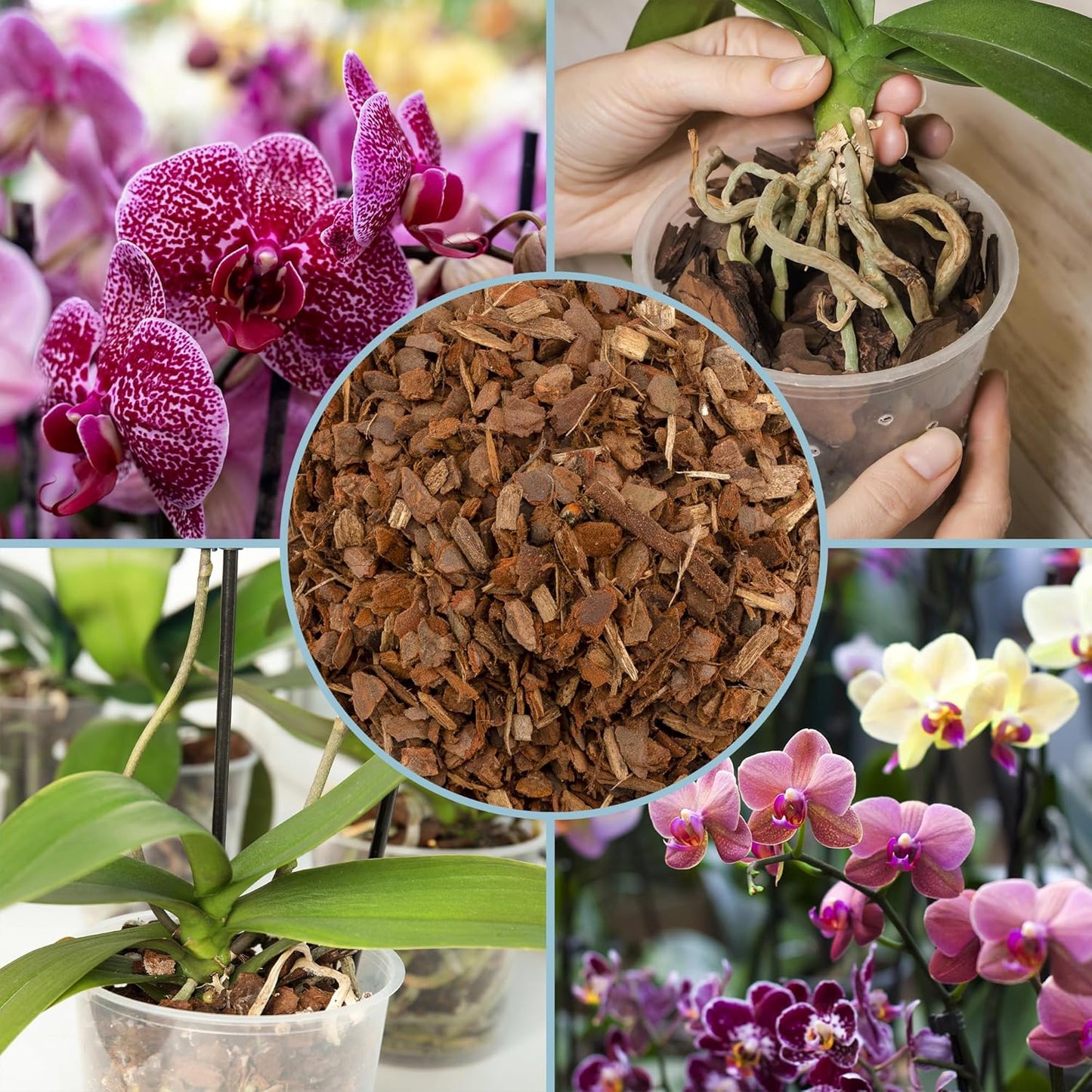 100% Organic Material All Natural Orchid Bark (4 Quarts), USA Sourced and Produced Orchid Bark Potting Mix, Orchid Potting Bark Bulk