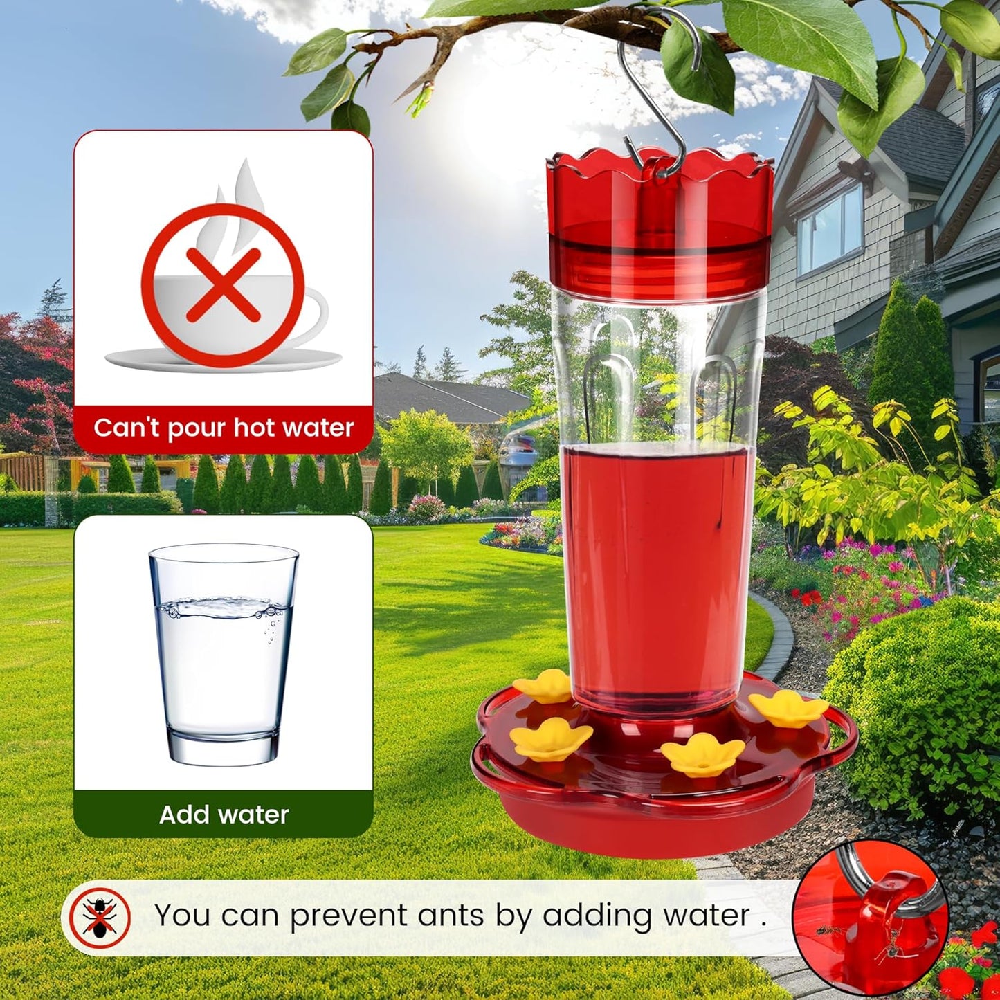Glass Hummingbird Feeders for Outdoors Hanging Ant and Bee Proof, 1 Pack 15 Ounces Red Hummingbird Feeder with 5 Feeding Ports and Perches, Built-in Ant Moat, Outside Garden Décor (Glass, 1)