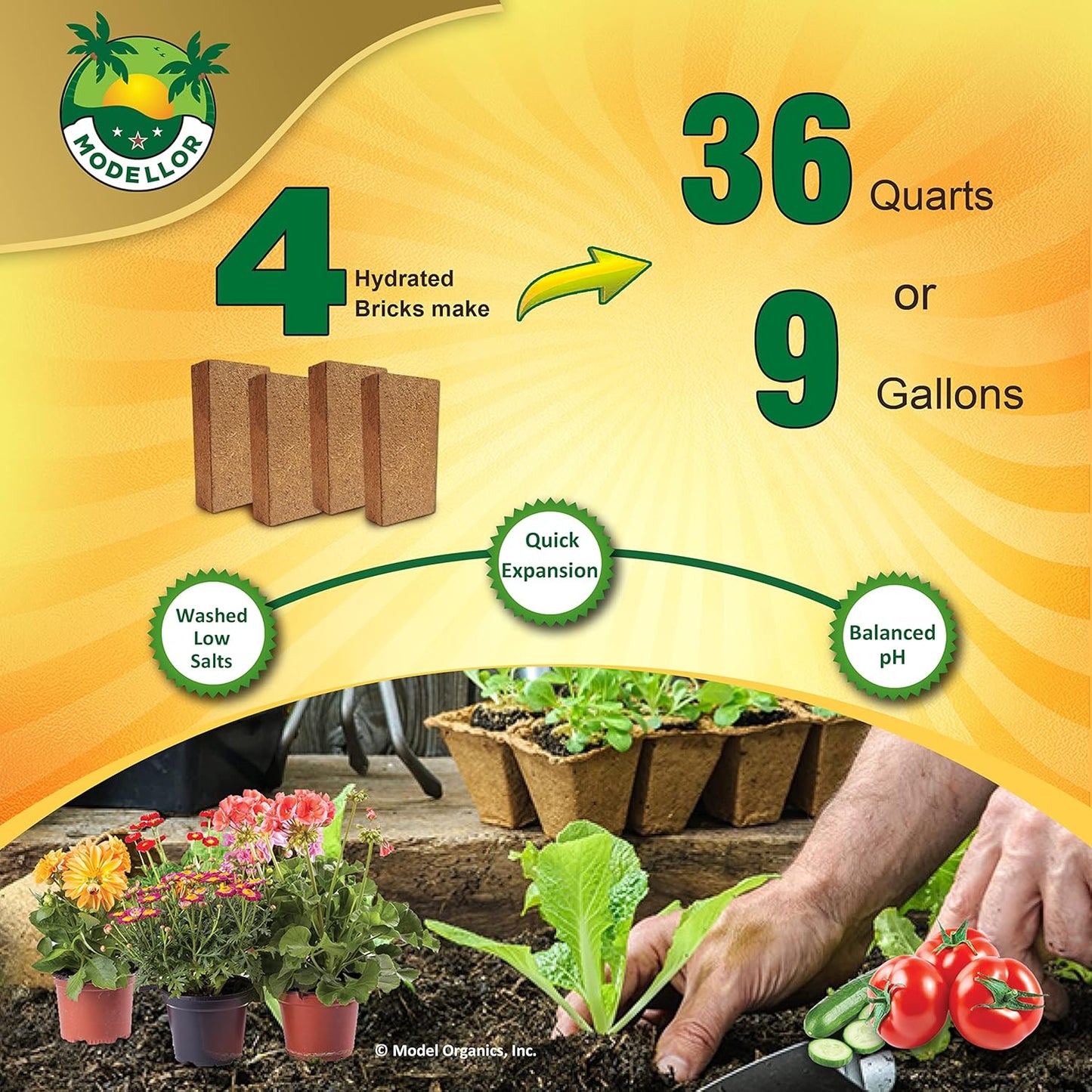 4 Bricks (5 lb) Modellor Premium Super Washed Coco Coir, Yields 9 gallons [36 quarts], Seed Starter, Organic, pH Balanced, Gardening, Indoor, Outdoor use.
