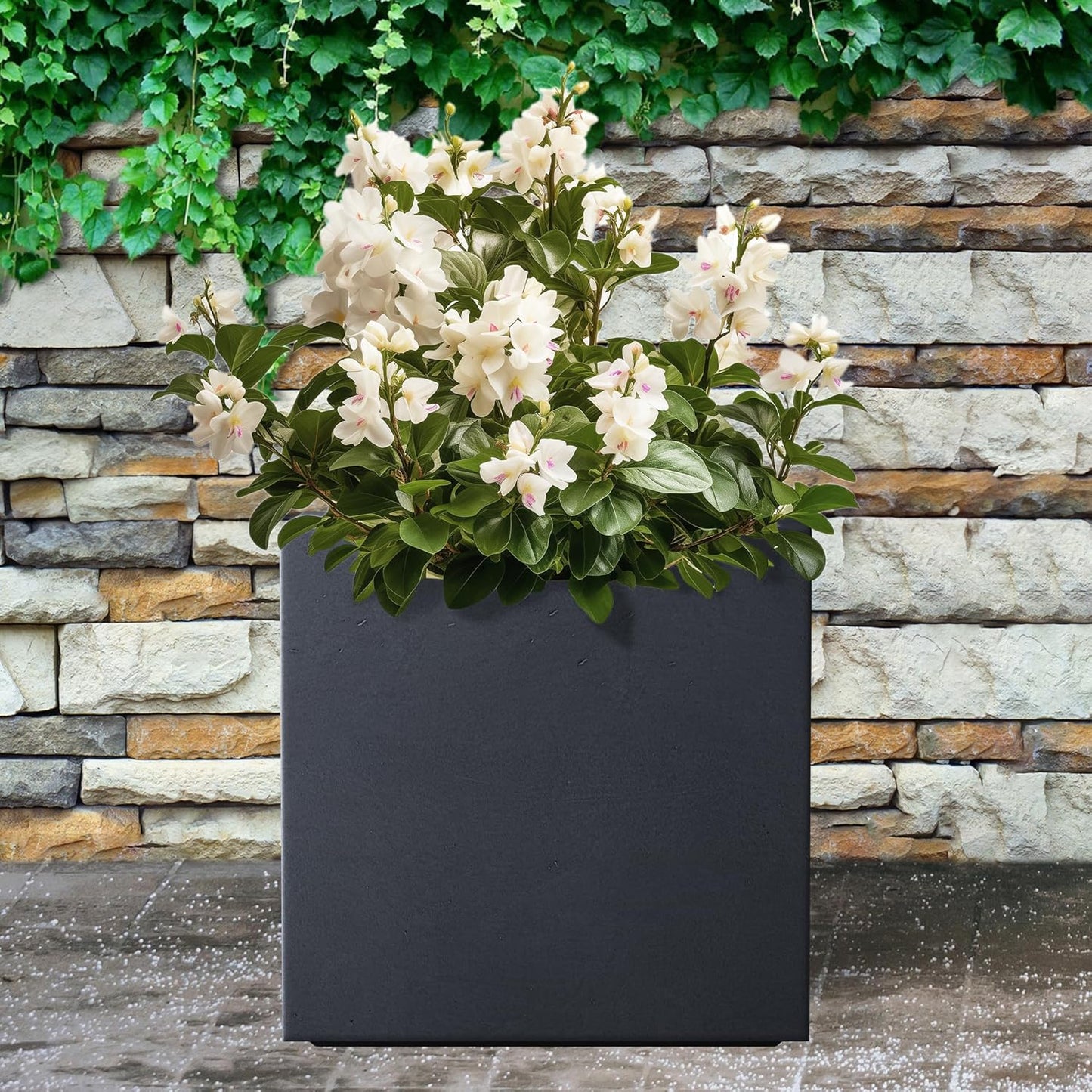 Kante 12 Inch Square Concrete Planter for Outdoor Indoor Home Patio Garden, Large Plant Pot with Drainage Hole and Rubber Plug, Charcoal