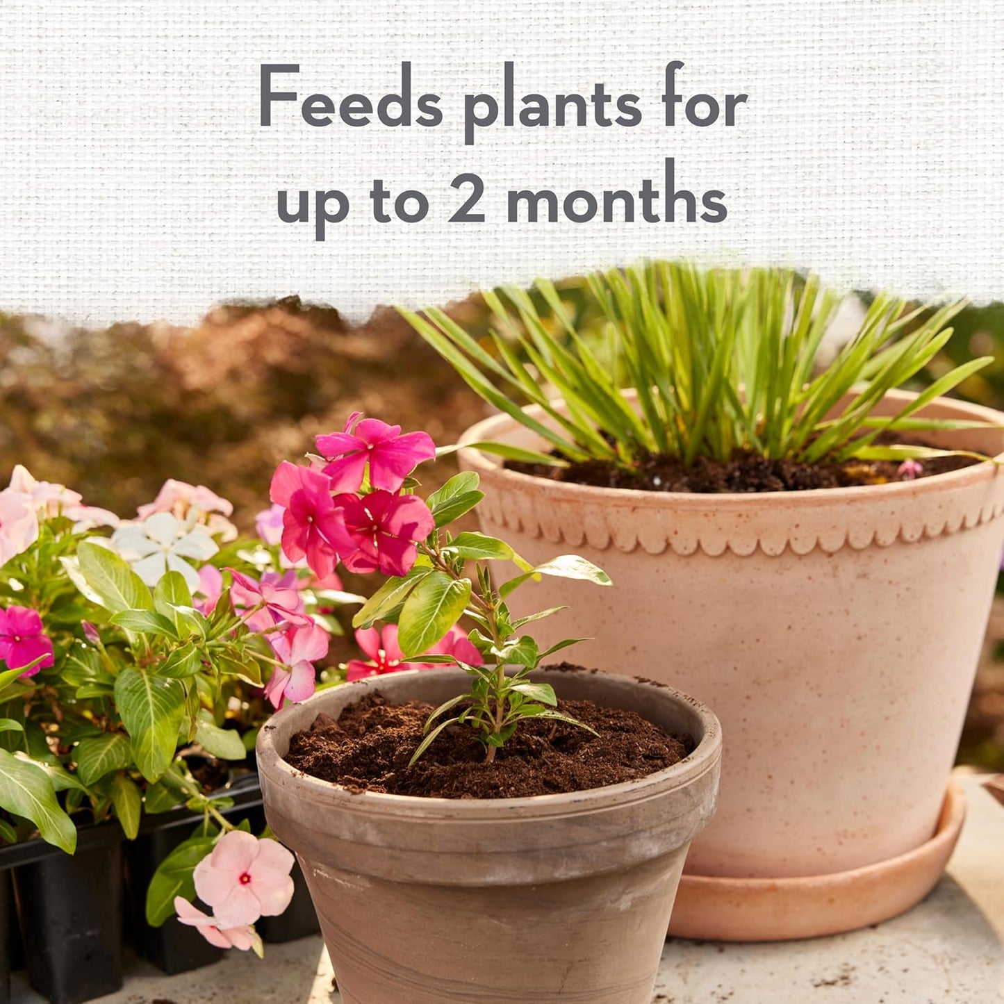 Whitney Farms Organic Potting Soil - Natural Indoor and Outdoor Container Mix, Organic Potting Soil for Vegetables, Herbs and Flowers, Feeds Plants up to 2 Months, 16 qt.