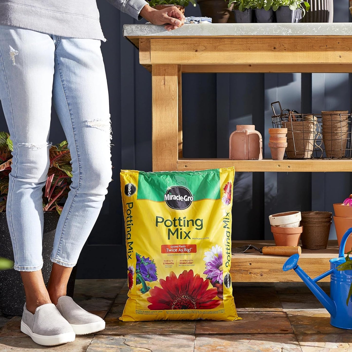 Miracle-Gro Potting Mix - For Container Plants, Flowers, Vegetables, Shrubs, Annuals, Perennials, Potting Soil Mix, Feeds up to 6 Months, 16 qt. (2-Pack)