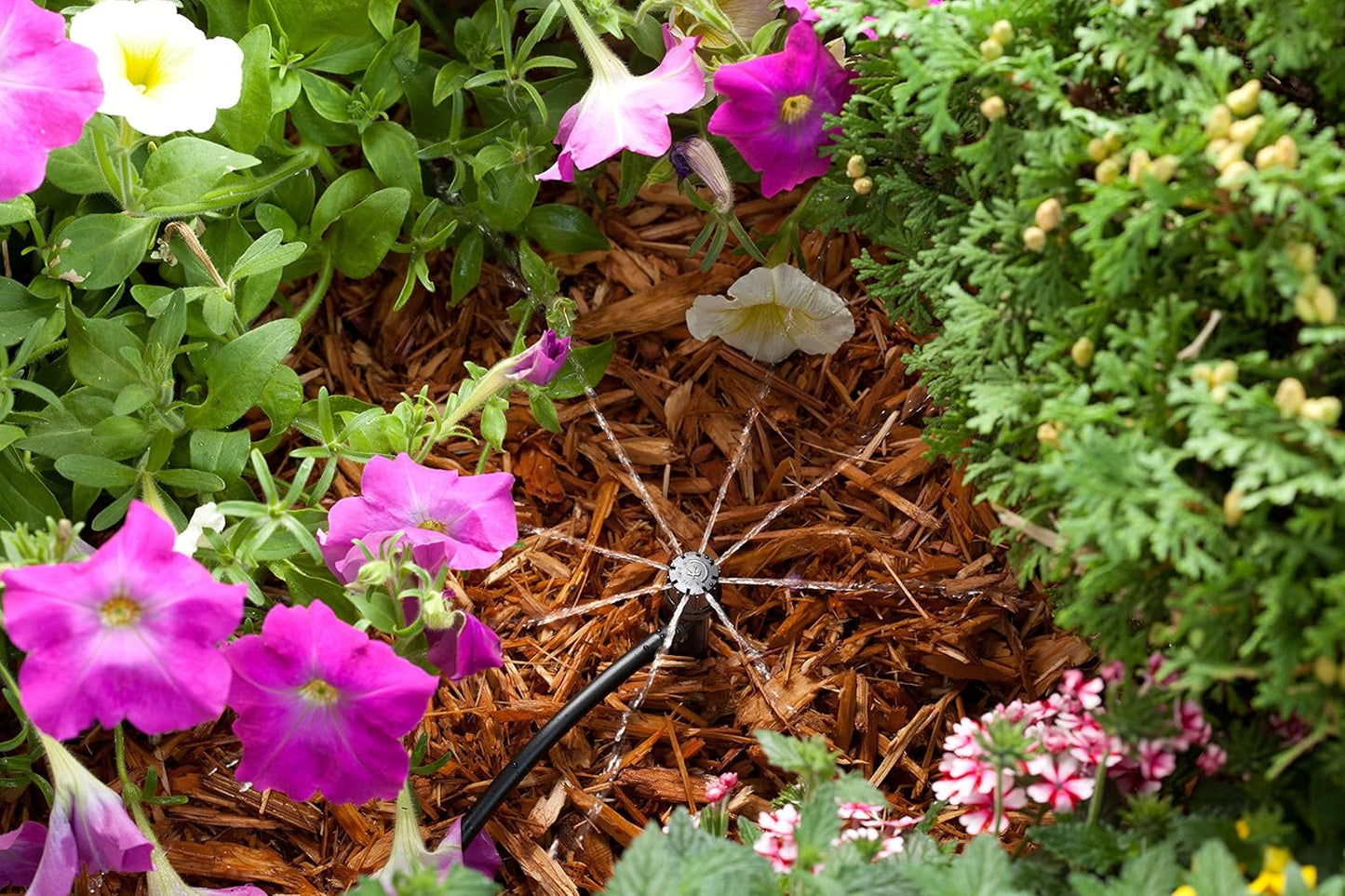 Rain Bird POTTEDKIT Drip Irrigation Container/Potted Plant Watering Kit, Connects to Faucet/Garden Hose, 1/4" Drip Tubing, 360° Micro Bubblers, T-Fittings and Pressure Regulator