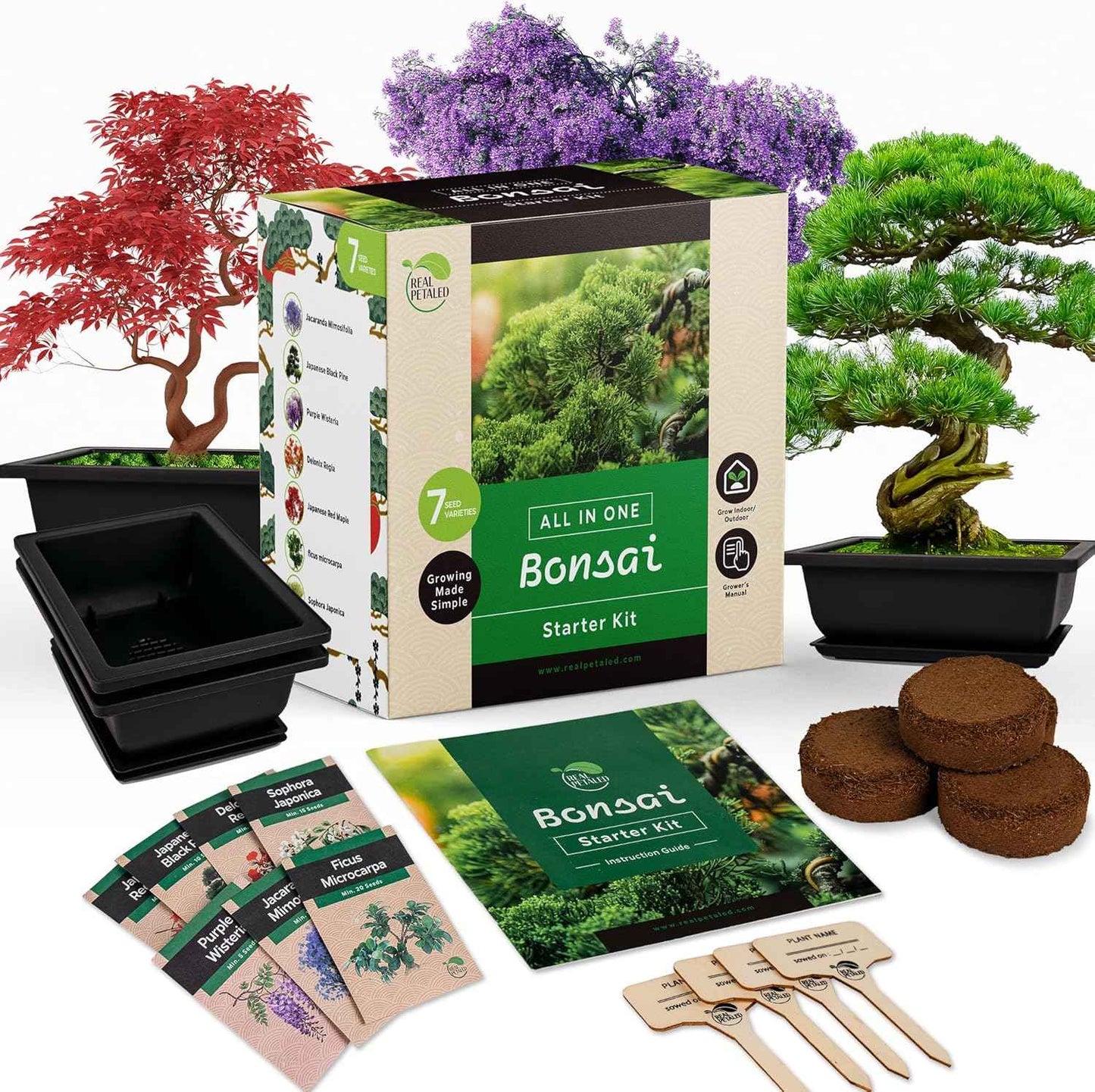 Bonsai Starter Kit – Japanese Bonsai Tree Kit 7 Seeds Pots – Complete Grow Your Own – Plant Lover Gifts Home Gifts for Men and Women