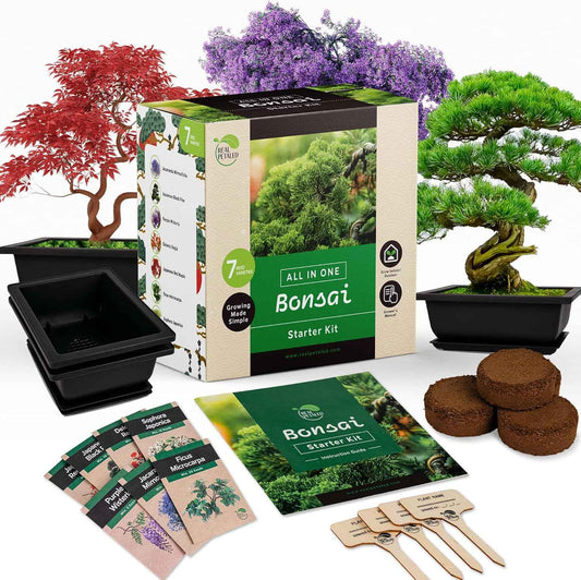 Bonsai Starter Kit – Japanese Bonsai Tree Kit 7 Seeds Pots – Complete Grow Your Own – Plant Lover Gifts Home Gifts for Men and Women