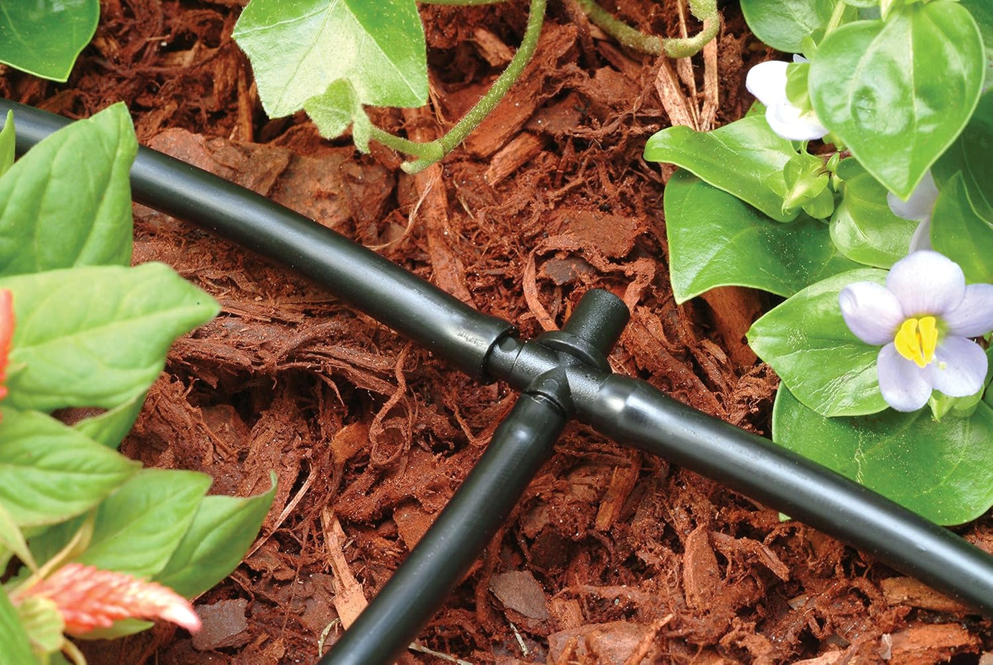 Rain Bird POTTEDKIT Drip Irrigation Container/Potted Plant Watering Kit, Connects to Faucet/Garden Hose, 1/4" Drip Tubing, 360° Micro Bubblers, T-Fittings and Pressure Regulator