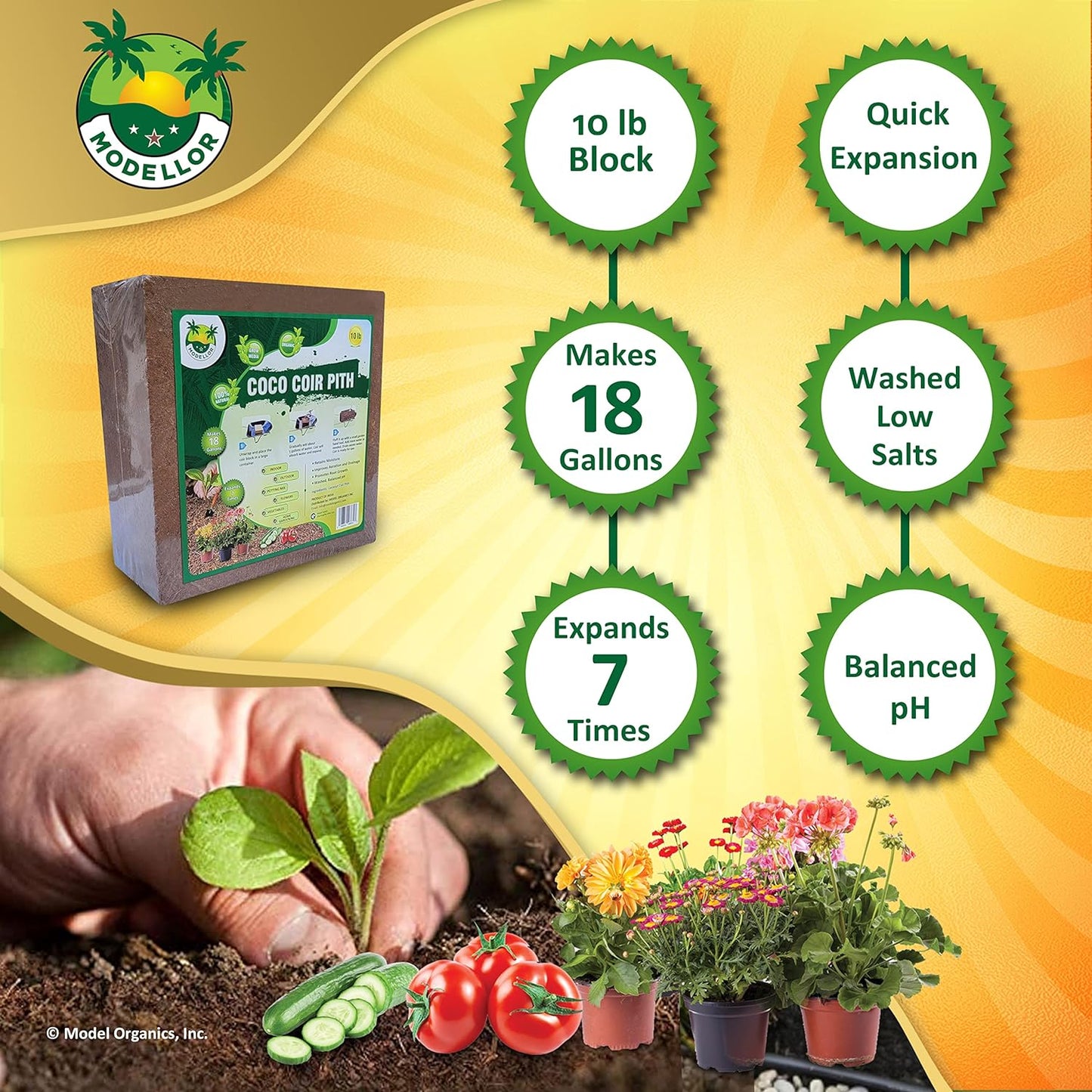 MODELLOR (10 lb) Premium Super Washed Coco Coir Brick, High Yield 18 to 20 gallons [72 to 80 quarts], Seed Starter, Organic, pH Balanced, Gardening, Indoor, Outdoor use