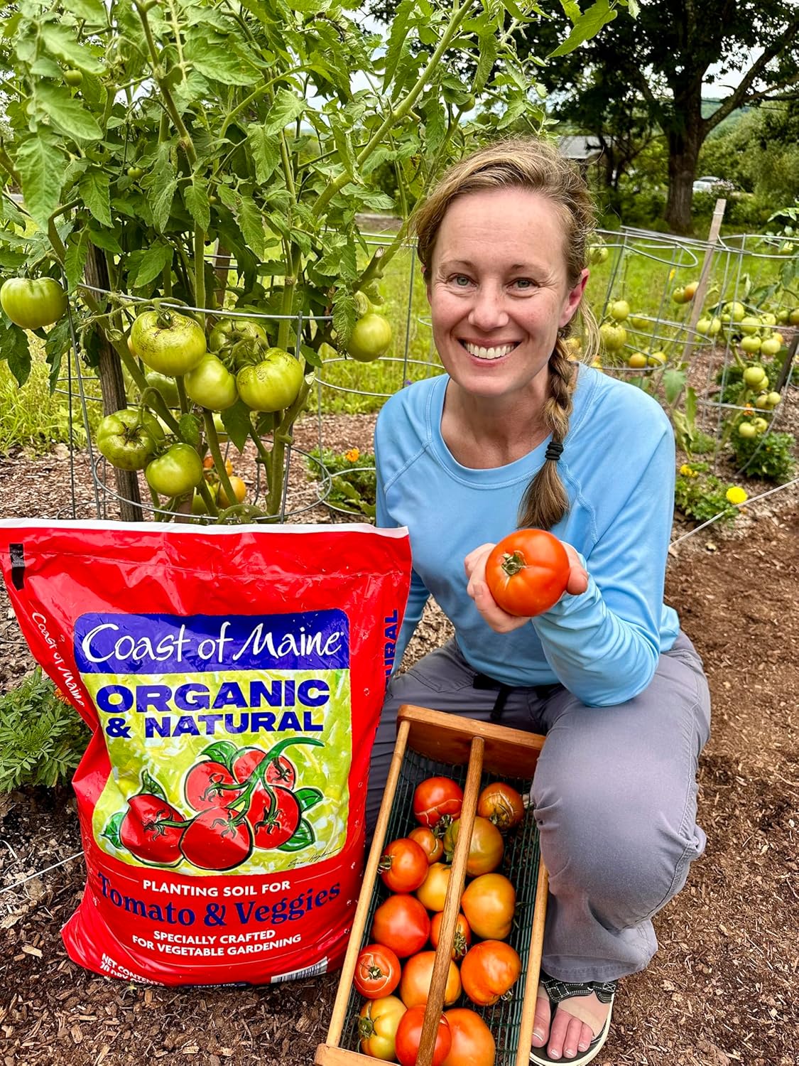 Coast of Maine Organic & Natural Planting Soil for Vegetables & Tomatoes - Premium Planting Soil w/ Composted Manure, Sphagnum Peat Moss for Multi Use Ground & Containers - Enhanced Drainage (20 Qt)