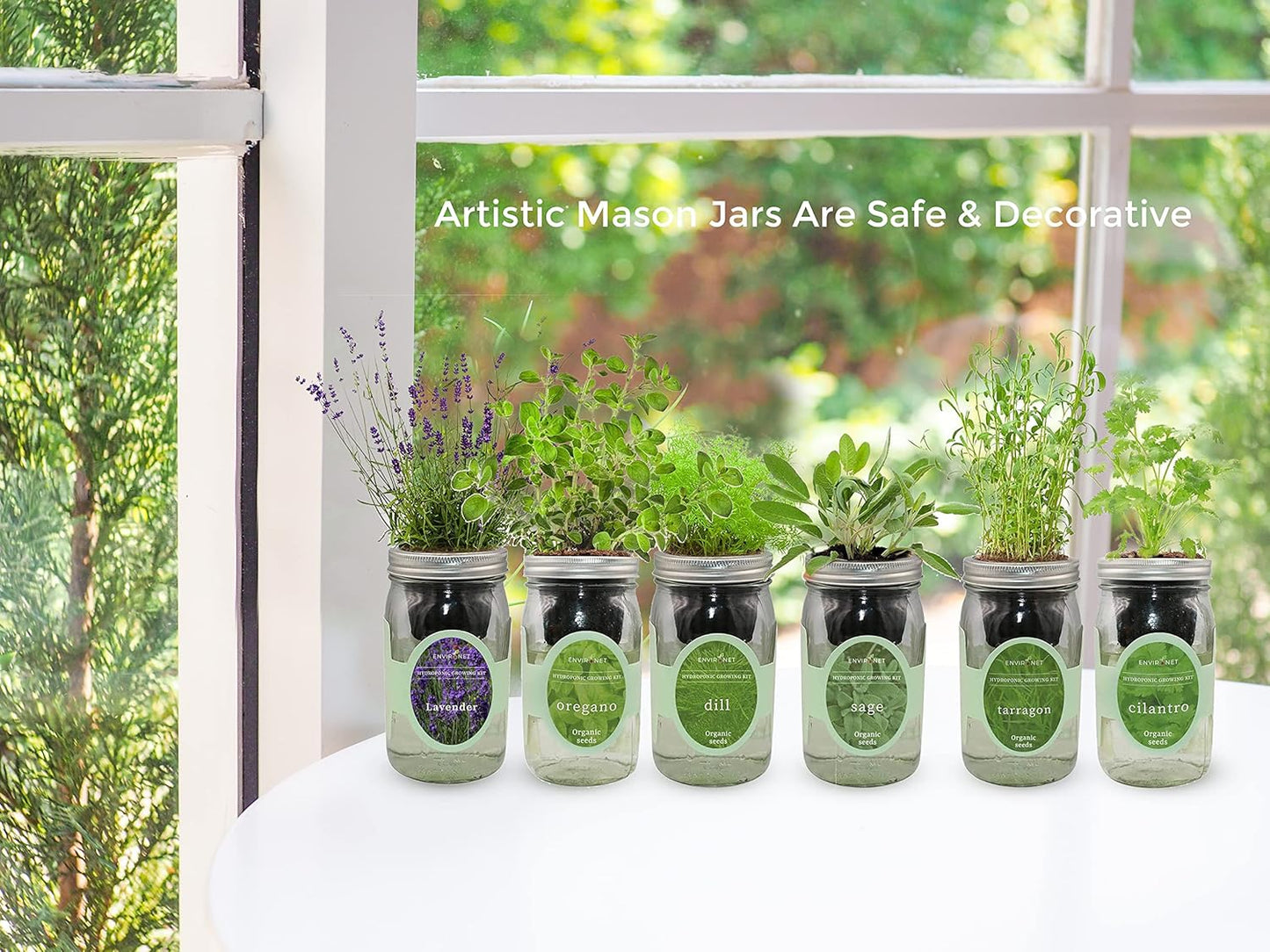 Hydroponic Herb Growing Kit, Self-Watering Mason Jar Herb Garden Starter Kit Indoor, Windowsill Herbs Garden, Grow Your Own Herbs from Organic Seeds (Lemon Balm)