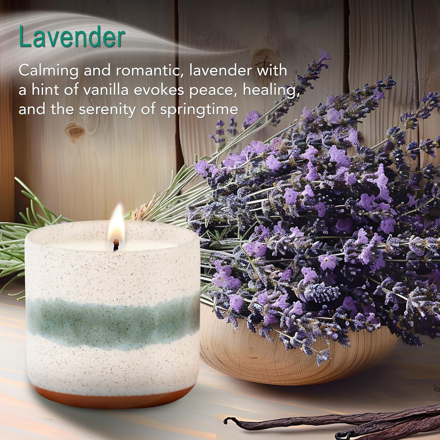 The Growing Candle, Lavender Scented, 8.5oz Ceramic Pot, Single Wick Aromatherapy Candles, 100% Soy for Women and Men, Edith