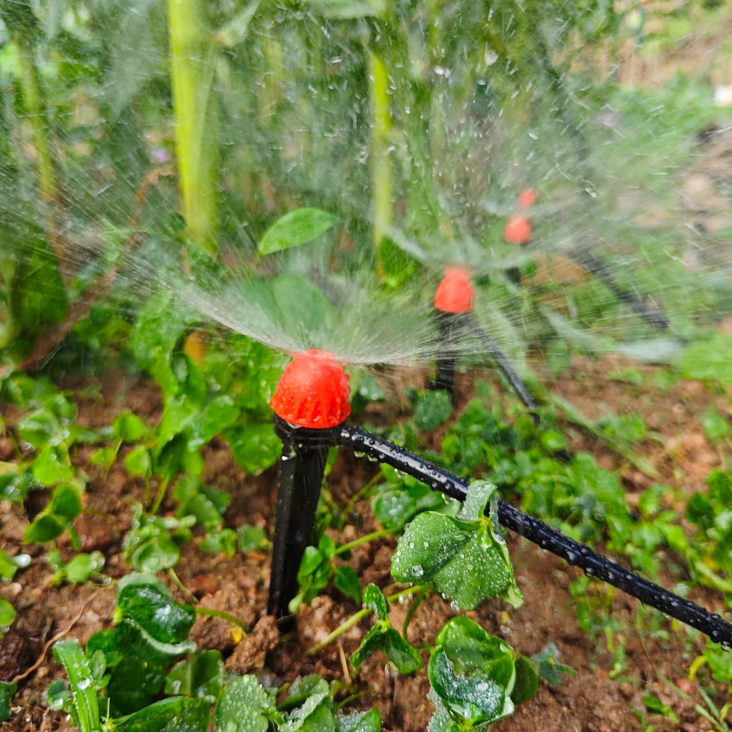 1/4" Drip Irrigation Emitters, Yulaiyoen 1/4-inch Spray Emitters 30 Pack, Automatic Drip Irrigation Parts Accessories, 360 Degree Drip Irrigation Sprinkler Heads Sprayer for Irrigation System