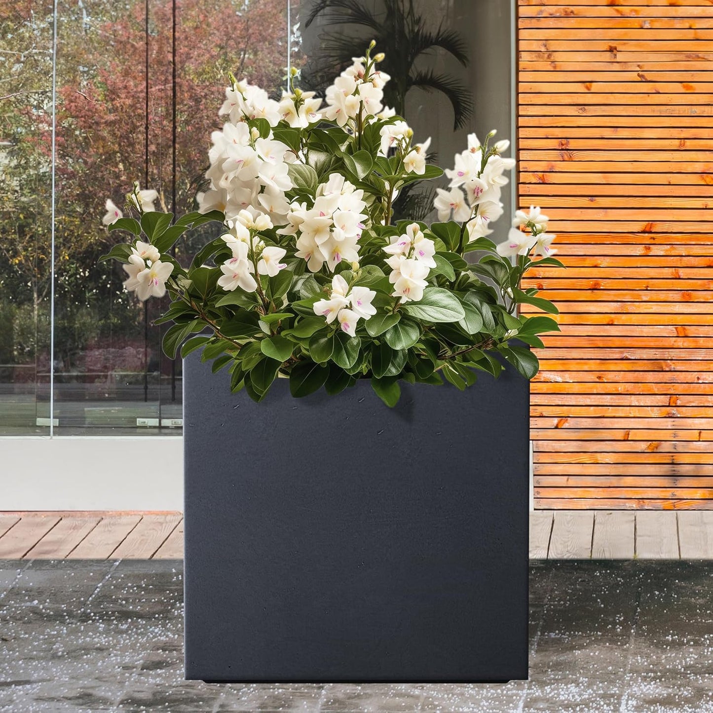 Kante 12 Inch Square Concrete Planter for Outdoor Indoor Home Patio Garden, Large Plant Pot with Drainage Hole and Rubber Plug, Charcoal
