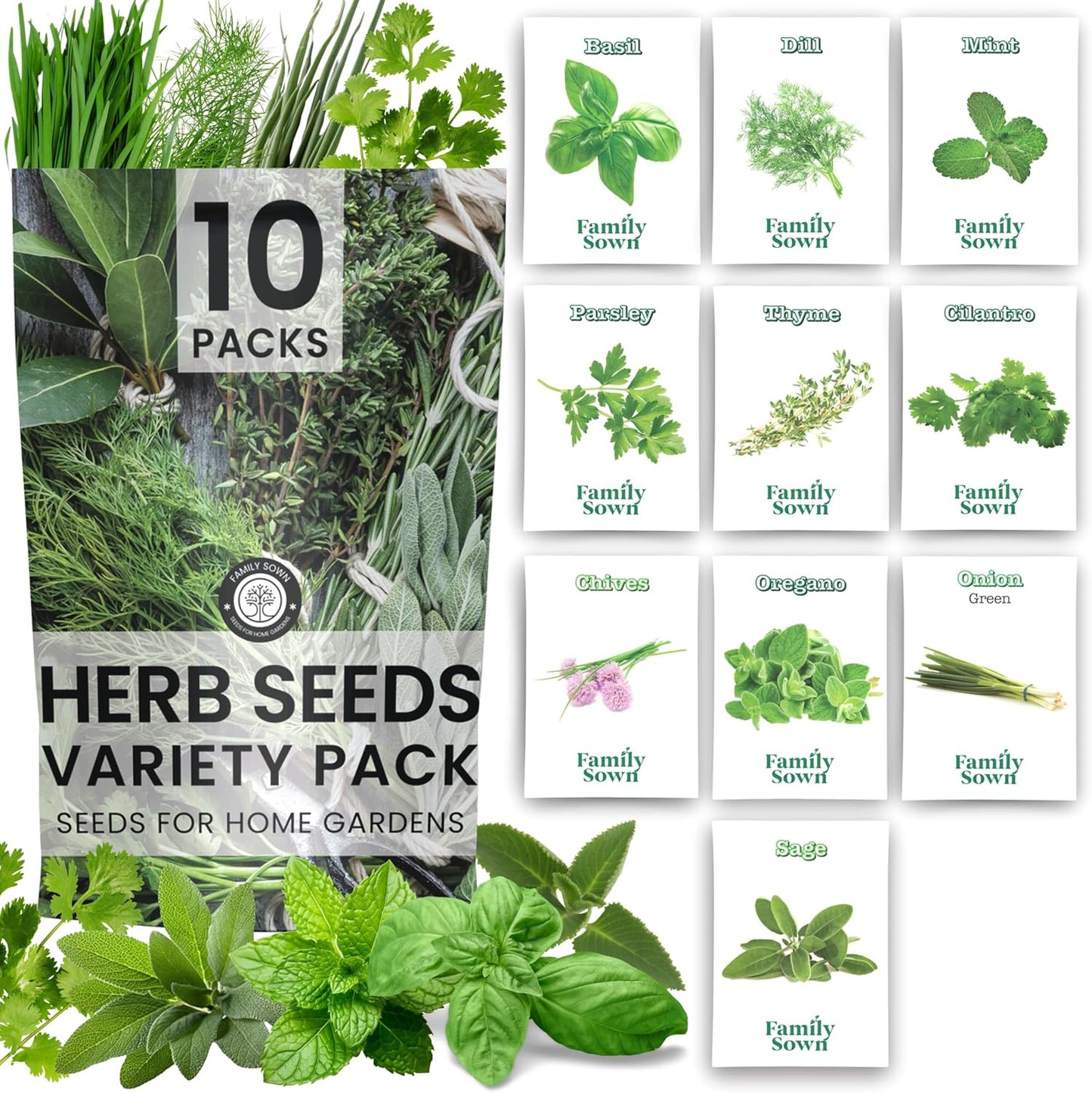 Herb Seeds | 10 Invidiual Packs | 2025 Season | Non-GMO | Mint, Parsley, Basil, Thyme & More! | for Planting Indoor & Outdoor | by Family Sown
