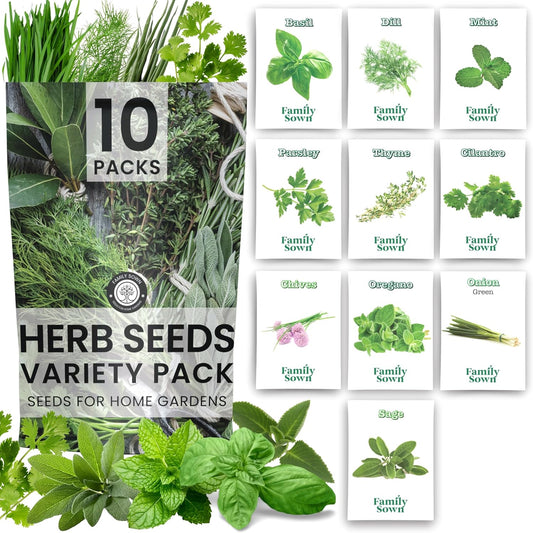 Herb Seeds | 10 Invidiual Packs | 2025 Season | Non-GMO | Mint, Parsley, Basil, Thyme & More! | for Planting Indoor & Outdoor | by Family Sown