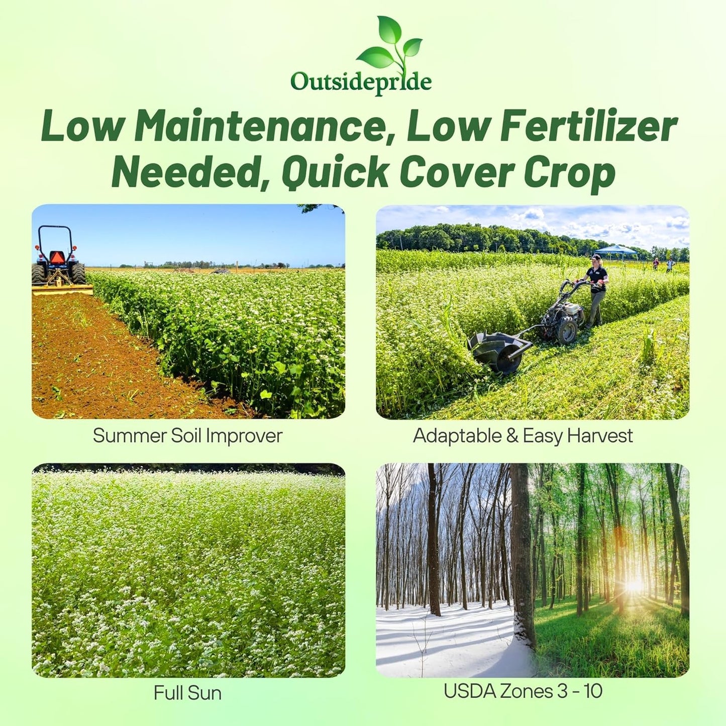 Outsidepride Buckwheat Seeds - 10lbs Annual, Fast-Growing, Easy to Grow Buckwheat Cover Crop Seeds for Green Manure, Bee Pasture & Pollinators, Wildlife Habitat, Soil Improvement, and Erosion Control