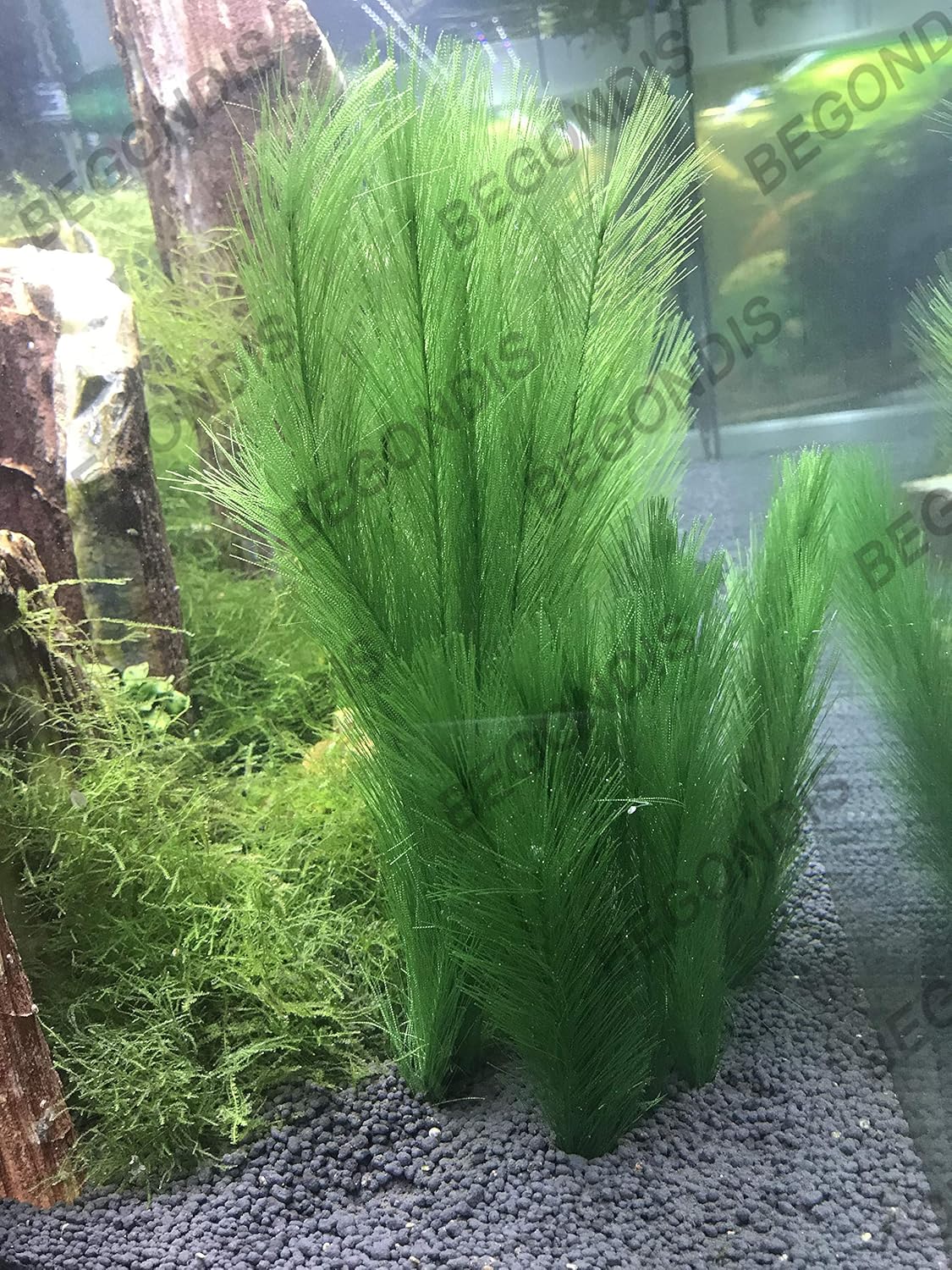 BEGONDIS 3Pcs Aquarium Decorations Fish Tank Artificial Green Water Plants Made of Silk Fabrics Plastic