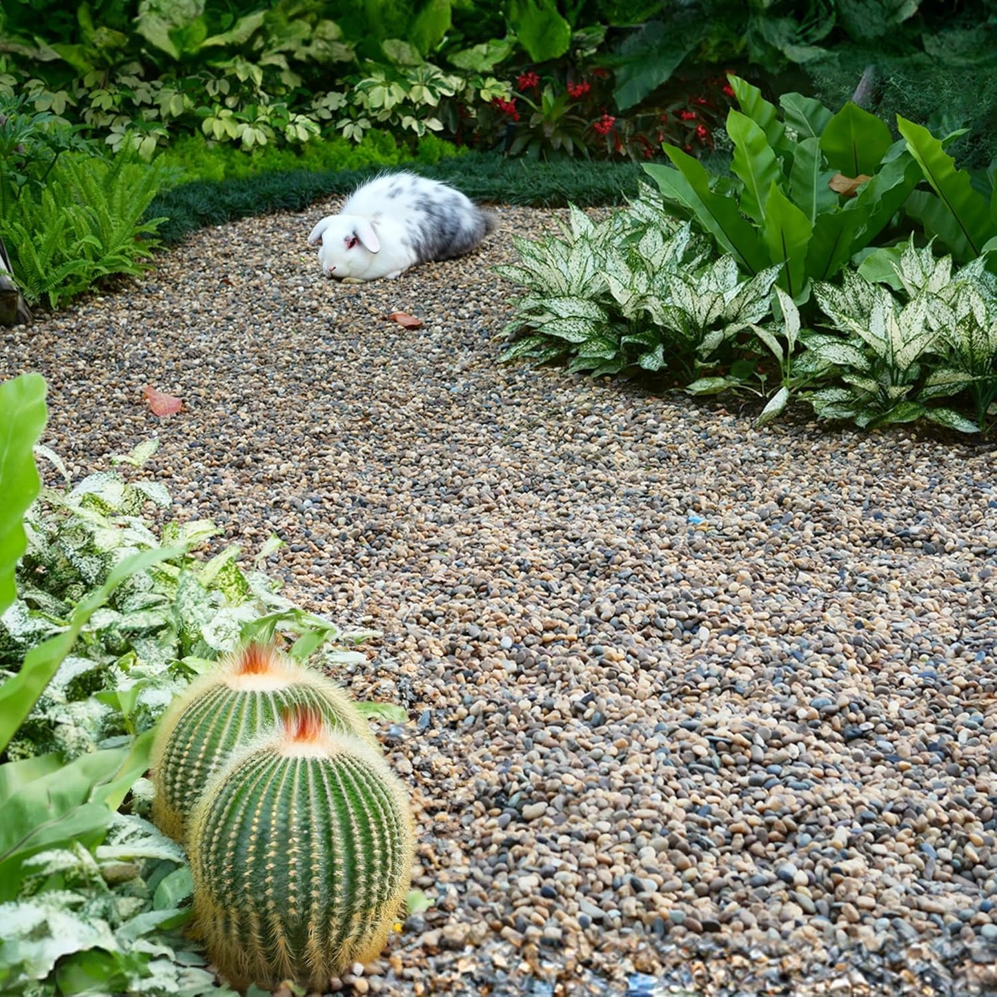 10 lbs Aquarium Gravel, 1-2mm Fish Tank Gravel, Premium Gravel and Substrate for Aquariums, Fish Tanks and Terrariums, XiL-1-2-10